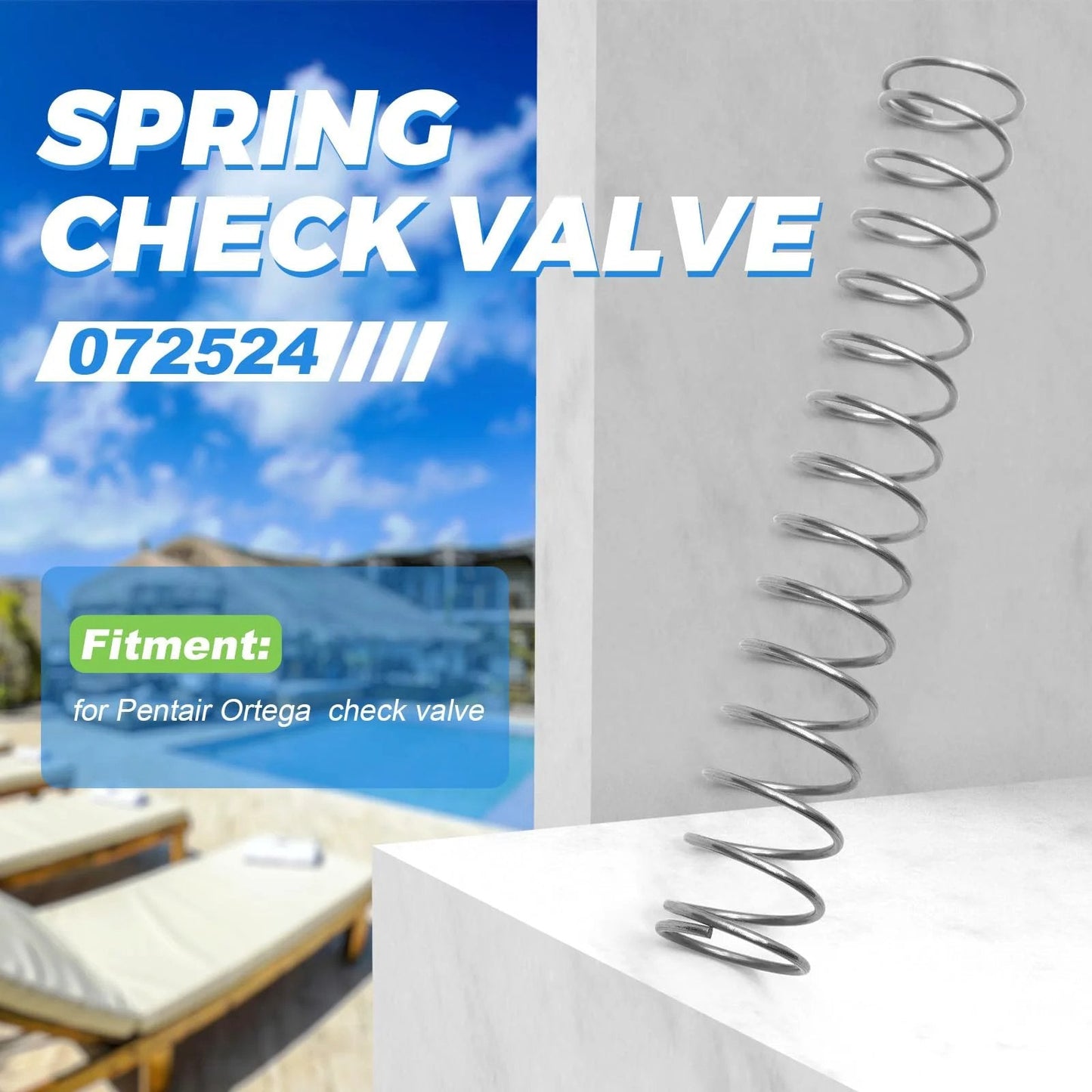 Spring Check Valve 072524 for Pentair Ortega Pool System, stainless steel spring replacement displayed outdoors