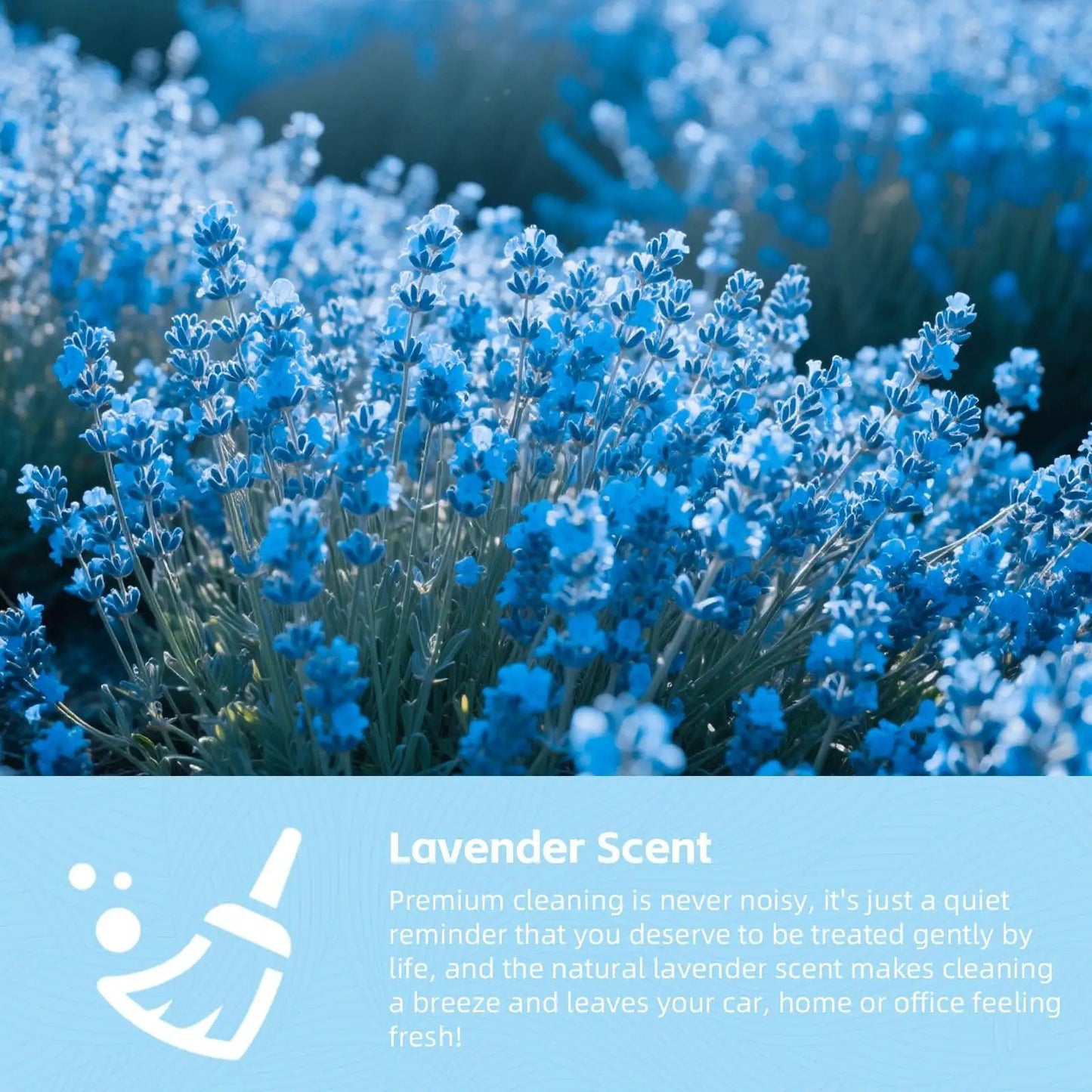 Lavender flowers representing the scent of Car Cleaning Gel Universal Cleaning Putty For Car Vents And Interior Dust Removal Auto Detailing Kit Not Sticky To Hands Sweet Scent 160g Great Gift For Car Lovers ColorCoral.
