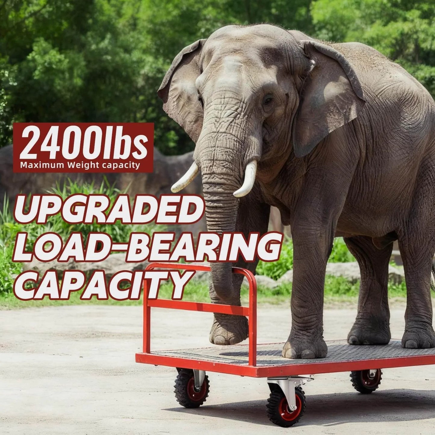 Elephant standing on a platform with caster wheels, highlighting 2400 lbs weight capacity, showcasing 5 Inch Heavy Duty Caster Wheels with Dual Lock Safety Brake