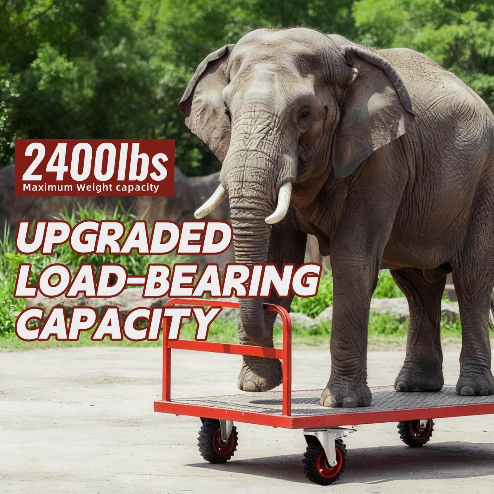 Elephant standing on a platform with caster wheels, highlighting 2400 lbs weight capacity, showcasing 5 Inch Heavy Duty Caster Wheels with Dual Lock Safety Brake