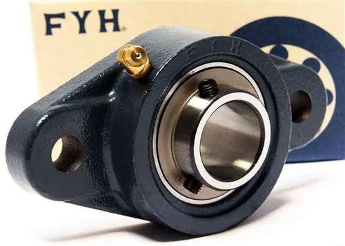 25mm Bearing UCFL205 + 2-Bolt Flanged Cast Housing Mounted Bearing