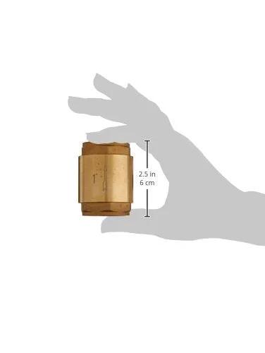 Hand holding In Line Check Valve For Water Supply Lines 1 Inch IPS Threaded Connection Brass Body With Stainless Steel Spring