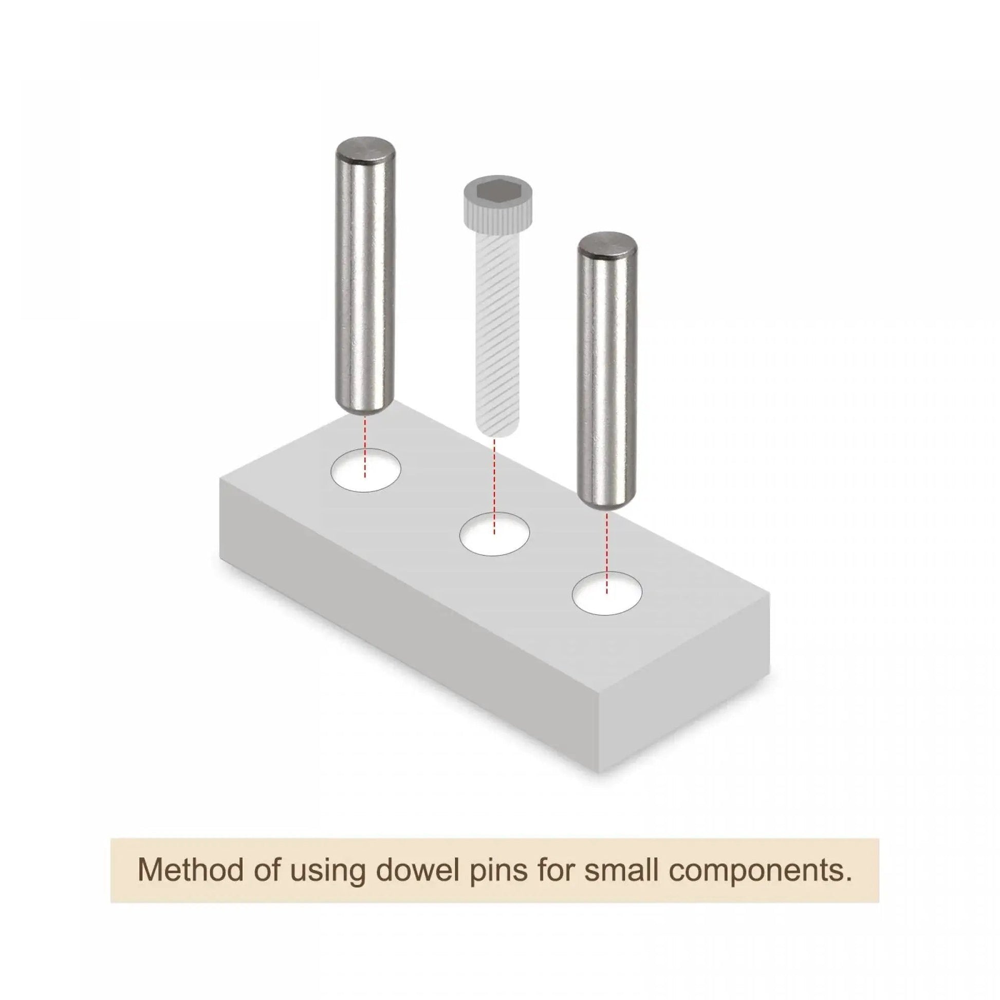 3x15mm Dowel Pins Set 50 Pcs 304 Stainless Steel Round Head Flat Chamfered End Dowel Pins for woodworking positioning and alignment.