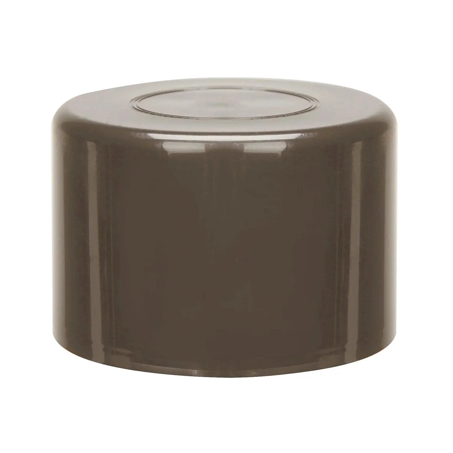 Dark Neutral Interior Paint For 2003-2004 Corvette C5 Panels And Trim 12oz bottle showing paint color and gloss finish