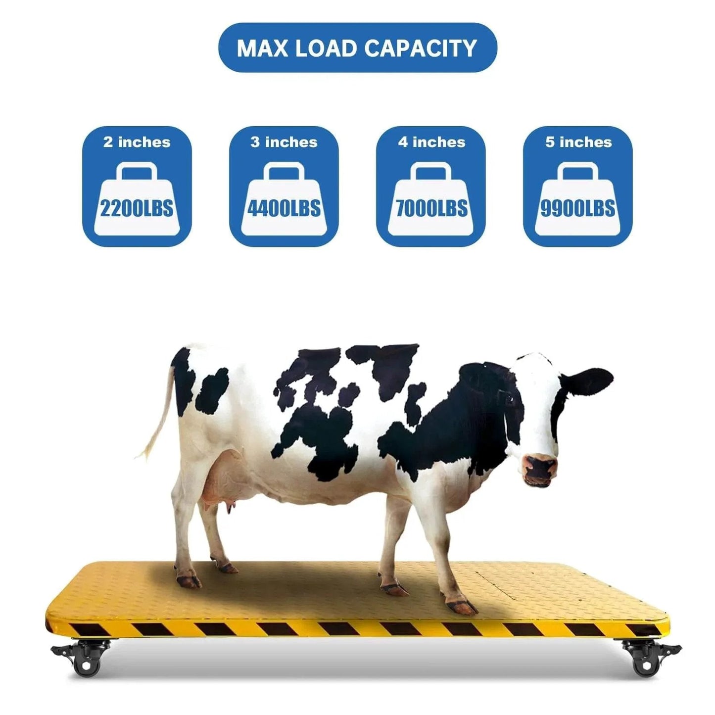 Cow on a platform with 2-Inch Plate Swivel Caster Wheels Set Of 4 Heavy Duty Load Capacity 2200 Lbs With Brake Center Of Gravity Nylon Wheels.