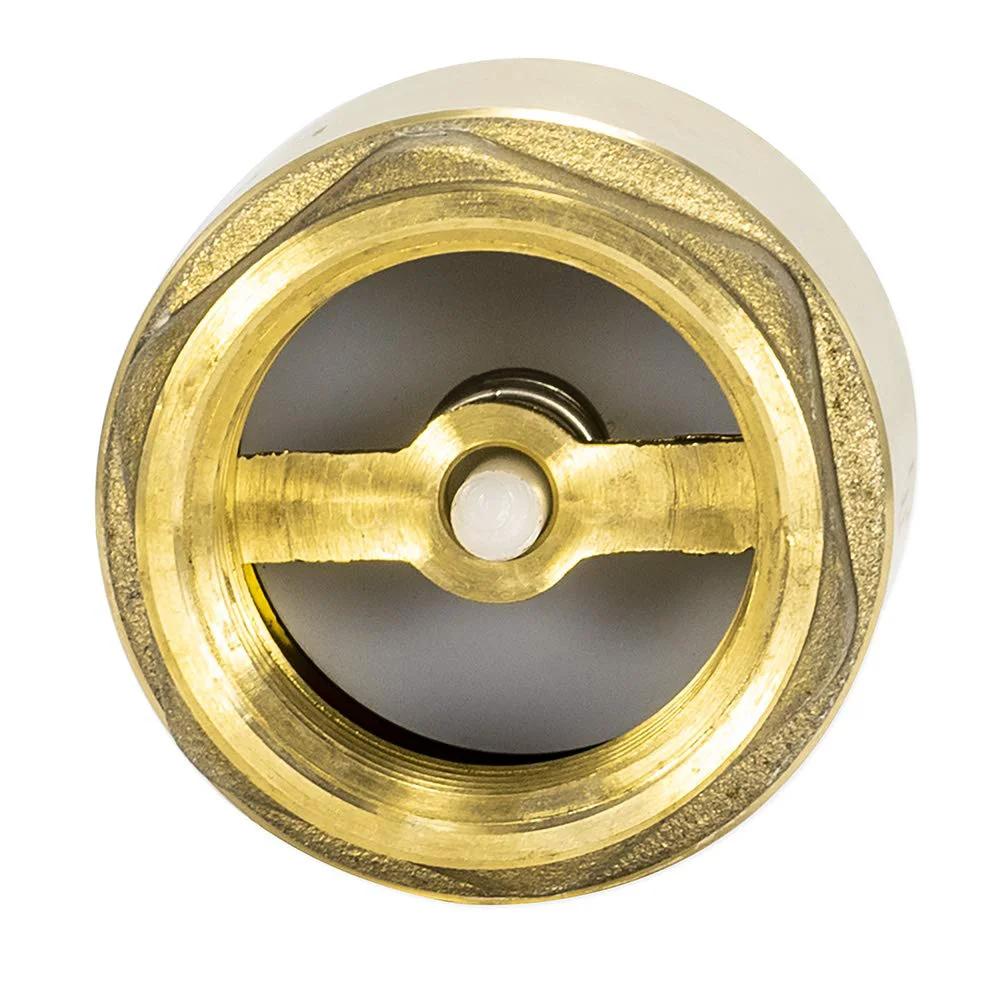 In Line Check Valve For Water Supply Lines 1 Inch IPS Threaded Connection Brass Body With Stainless Steel Spring For Backflow Prevention And Durable Plumbing Fitting Eastman 20405LF For Residential And Commercial Installations, showing valve interior and spring mechanism.