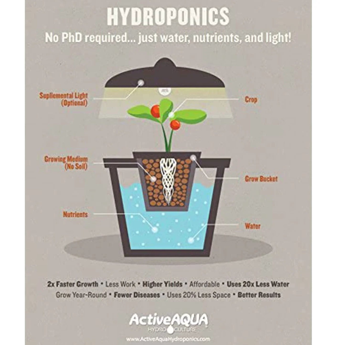 Hydroponics diagram showing crop, growing medium, nutrients, and water setup for effective plant growth.