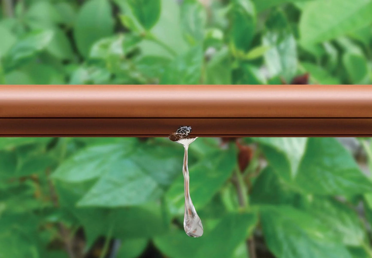 Drip Irrigation System With Pressure Compensating Emitter Tubing Kit Half Inch Diameter 0.9 GPH Emitters Every 18 Inches 100 Foot Brown Roll