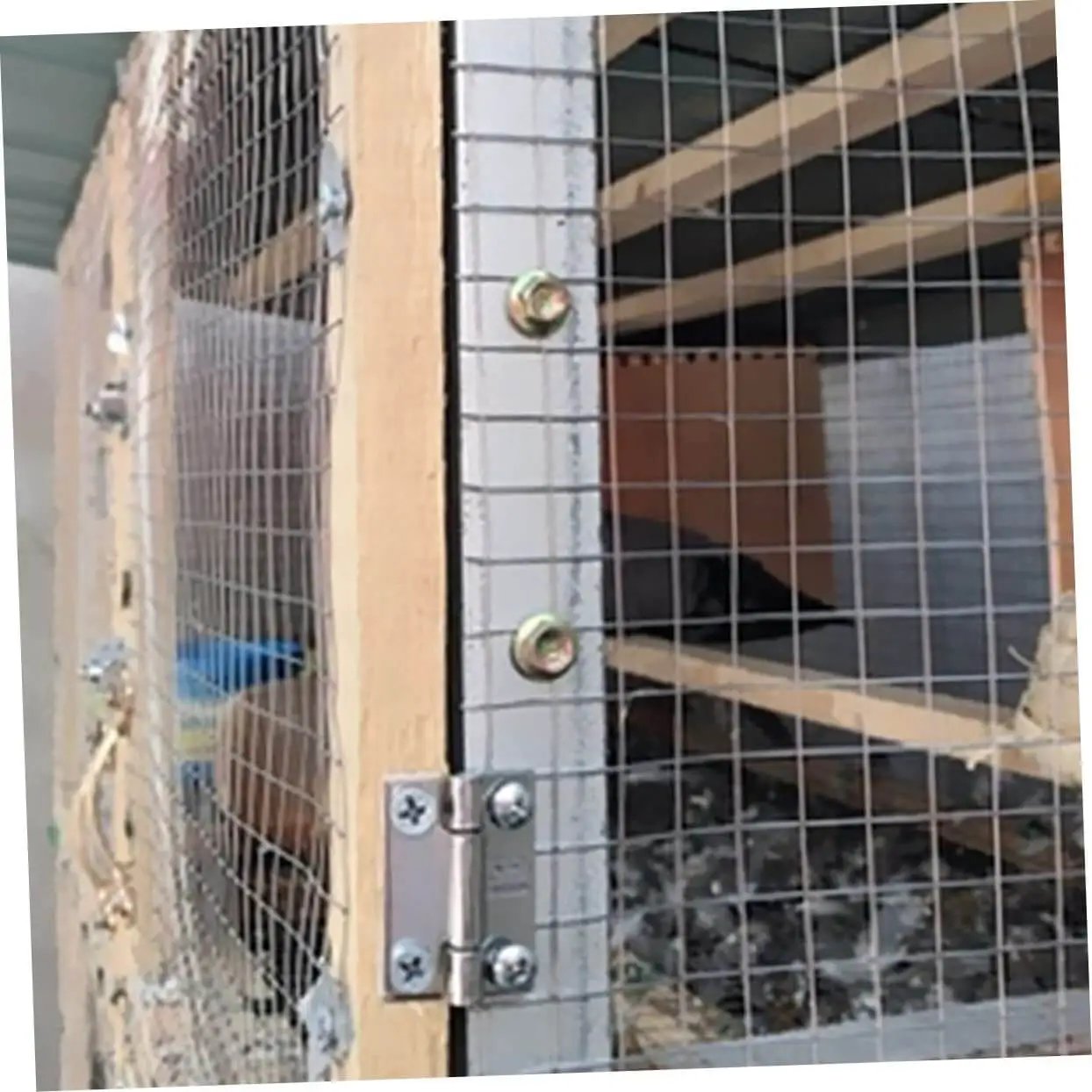 Heavy Duty 304 Stainless Steel Door Hinges Two Pack Industrial Grade Adjustable Cabinet And Door Hinges For Wood Furniture With Smooth Quiet Operation And 180 Degree Rotation Precision Cast Sturdy Design Popetpop installed on wire mesh door