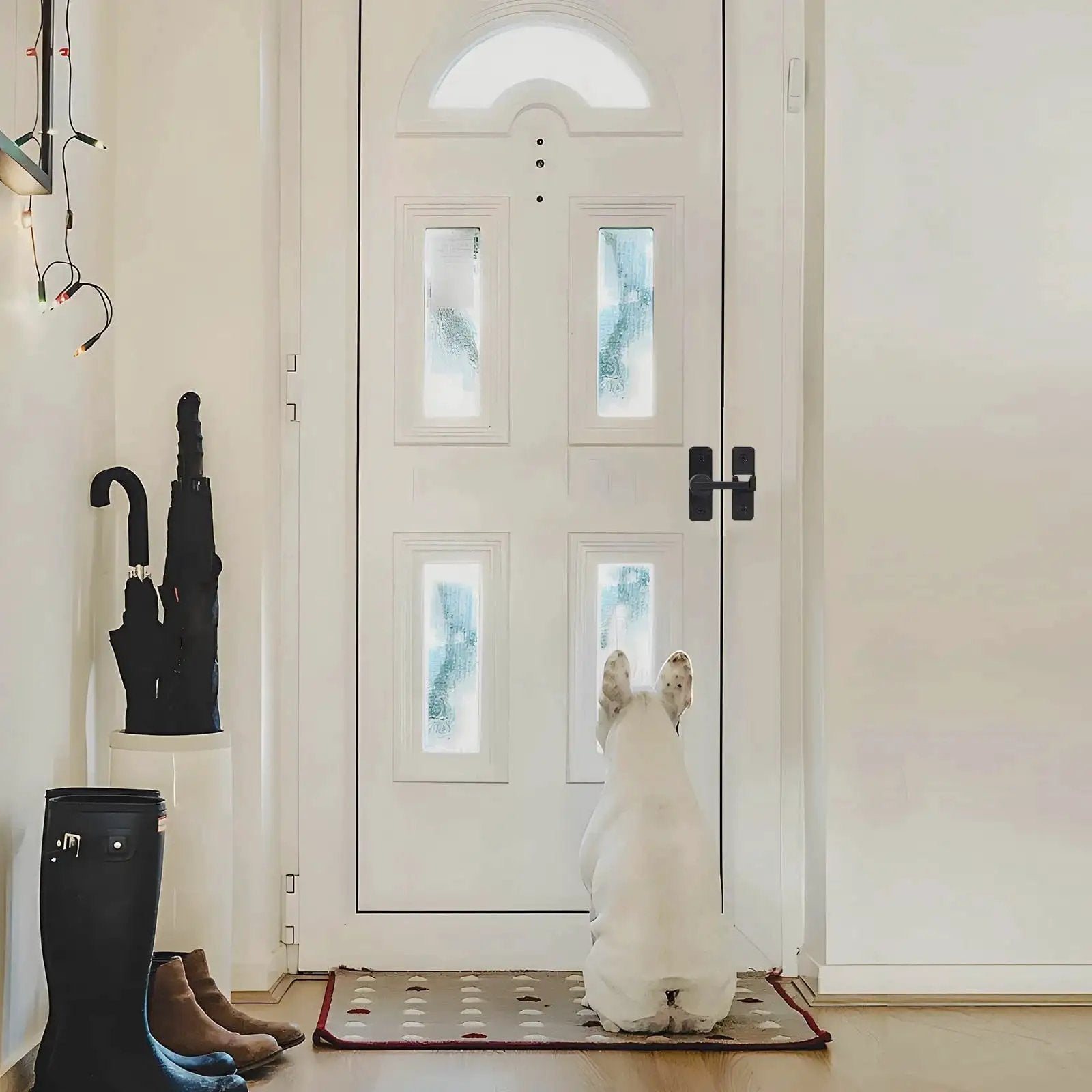 Dog sitting in front of a closed white door with frosted glass panels in a well-lit hallway.