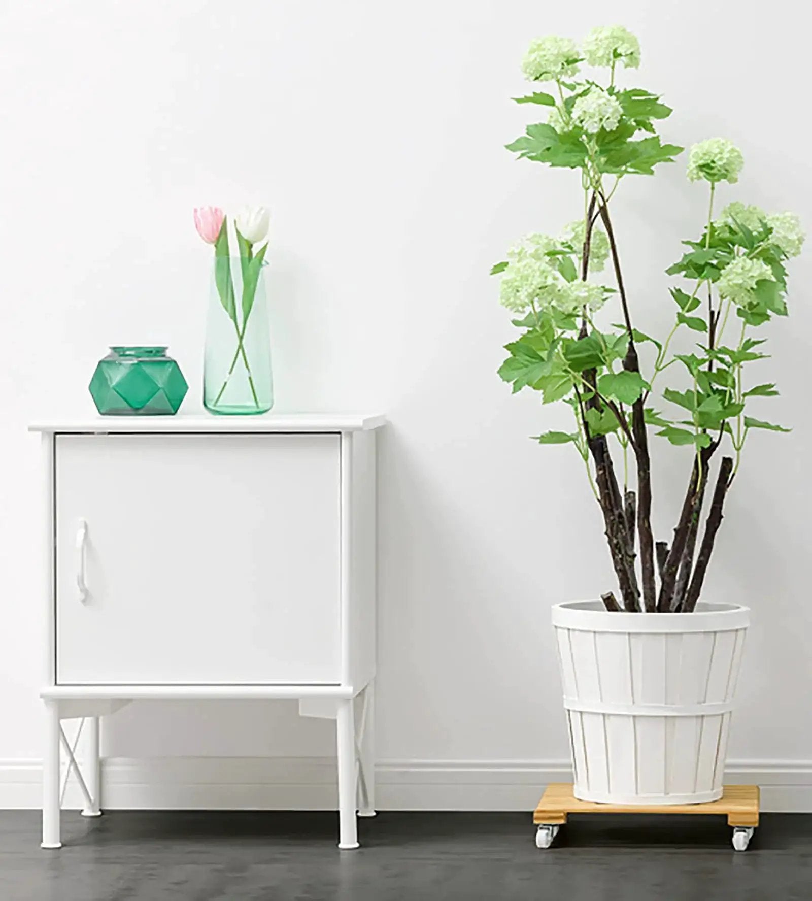 Large potted plant on Three Pack Bamboo Plant Caddies With Rolling Wheels, next to a white cabinet, showcasing plant mobility.