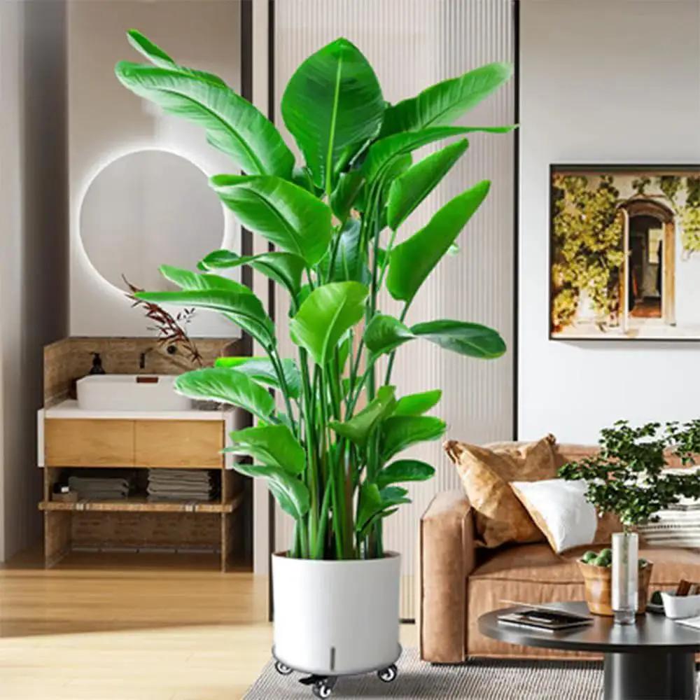 Heavy Duty Plant Caddy On Wheels With 3.0mm Aluminum Alloy Frame Supports Round Pots Up To 12 Inch And 500 Pounds Durable Rolling Plant Stand With Silent Bearings For Wood Floors Black in living room setting.