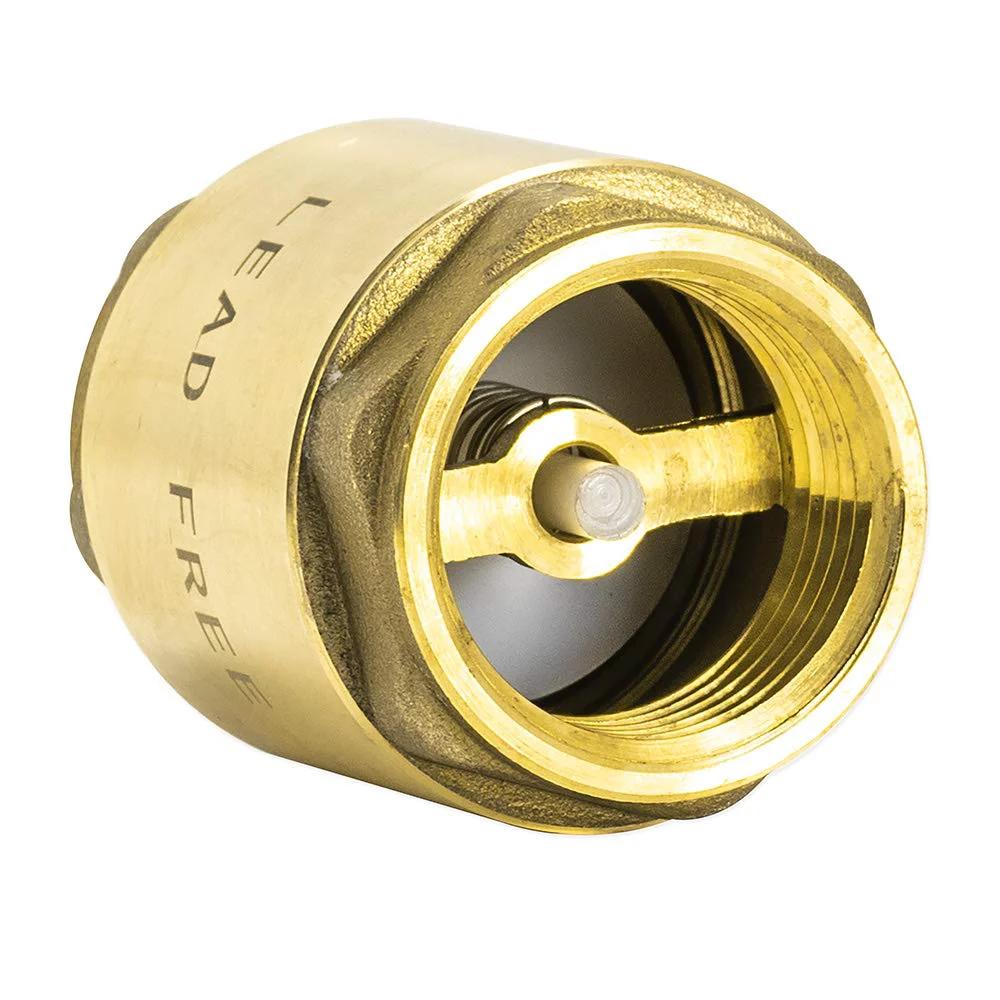 In Line Check Valve For Water Supply Lines 1 Inch IPS Threaded Connection Brass Body With Stainless Steel Spring For Backflow Prevention And Durable Plumbing Fitting Eastman 20405LF For Residential And Commercial Installations close-up showing brass construction and stainless spring