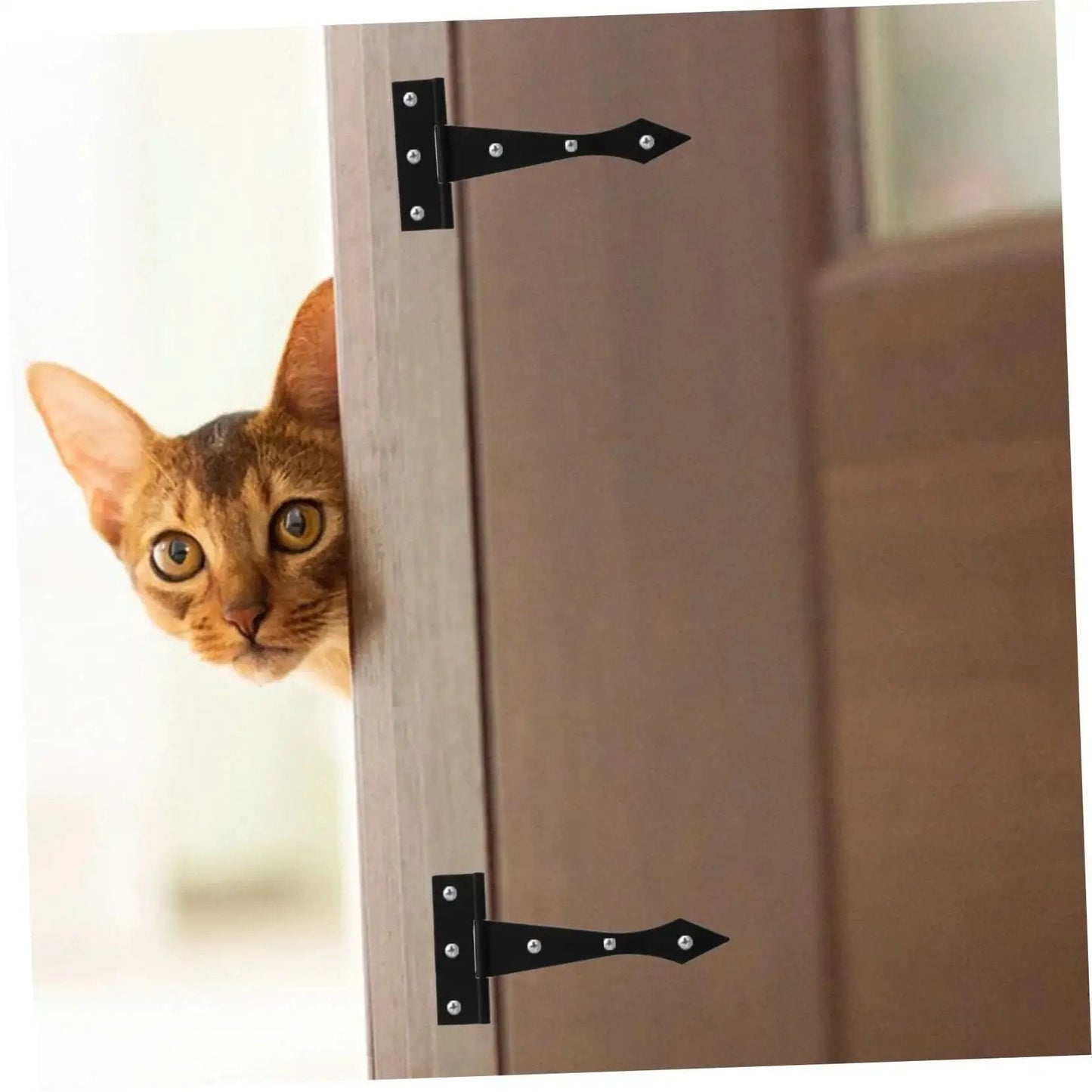 Cat peeking from a door with Heavy Duty Iron Cabinet Hinges 8 Pack For Residential Doors High Load Bearing Capacity With Smooth Burr Free Edges.