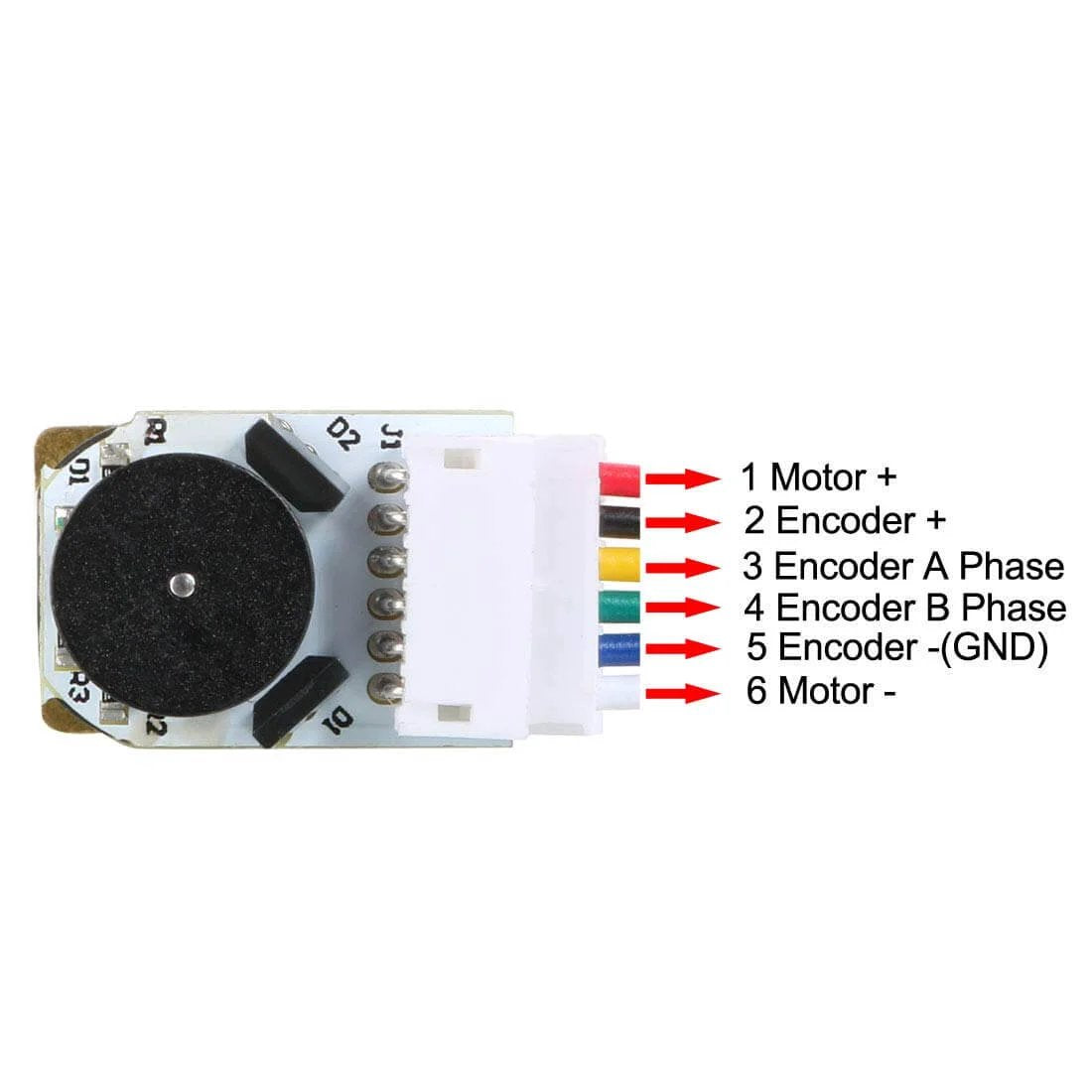 Close-up view of 6V 1000RPM DC Gear Motor with Encoder Speed Velocity Measurement wiring labels and connectors.