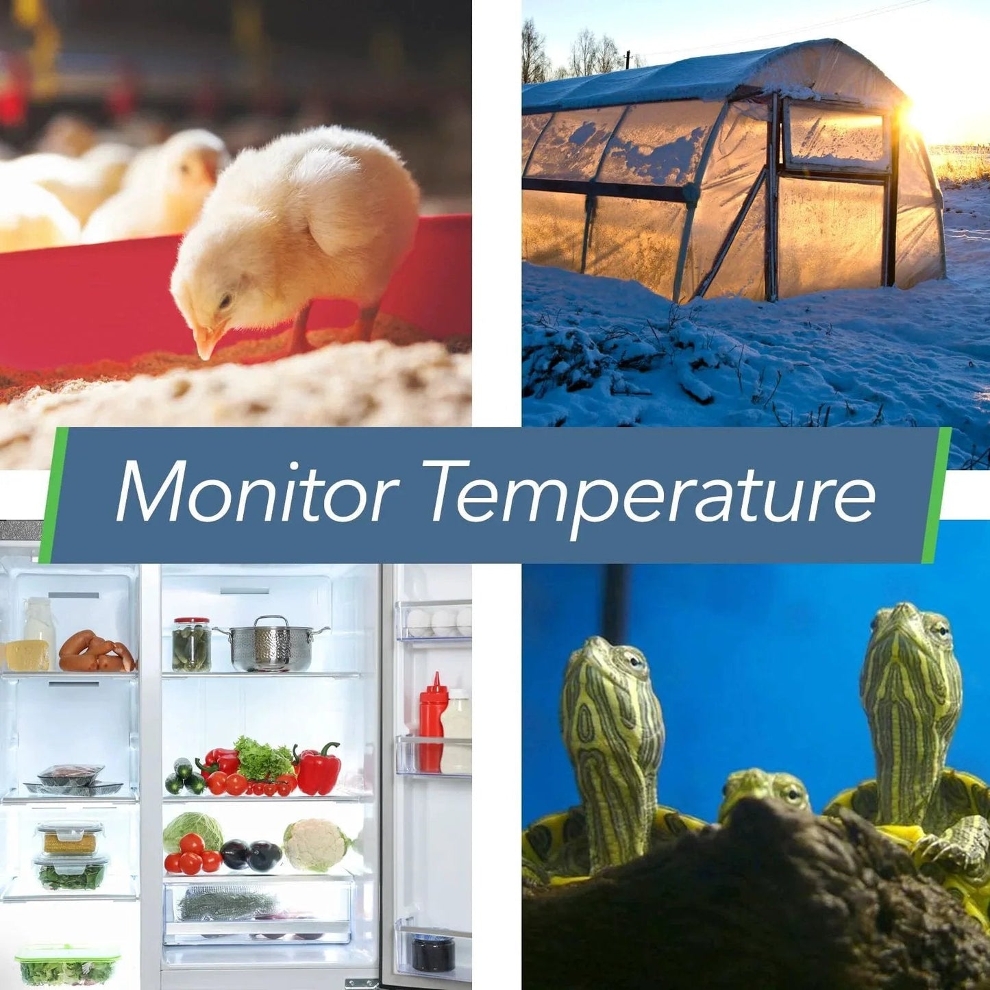 Smart Temperature And Humidity Sensor With App Monitoring From SensorPush HT1 Thermometer Hygrometer For Indoor And Outdoor Use Including Heat Index For RV Fridge And More used in various settings, shown with chicks, greenhouse, fridge, and reptiles.