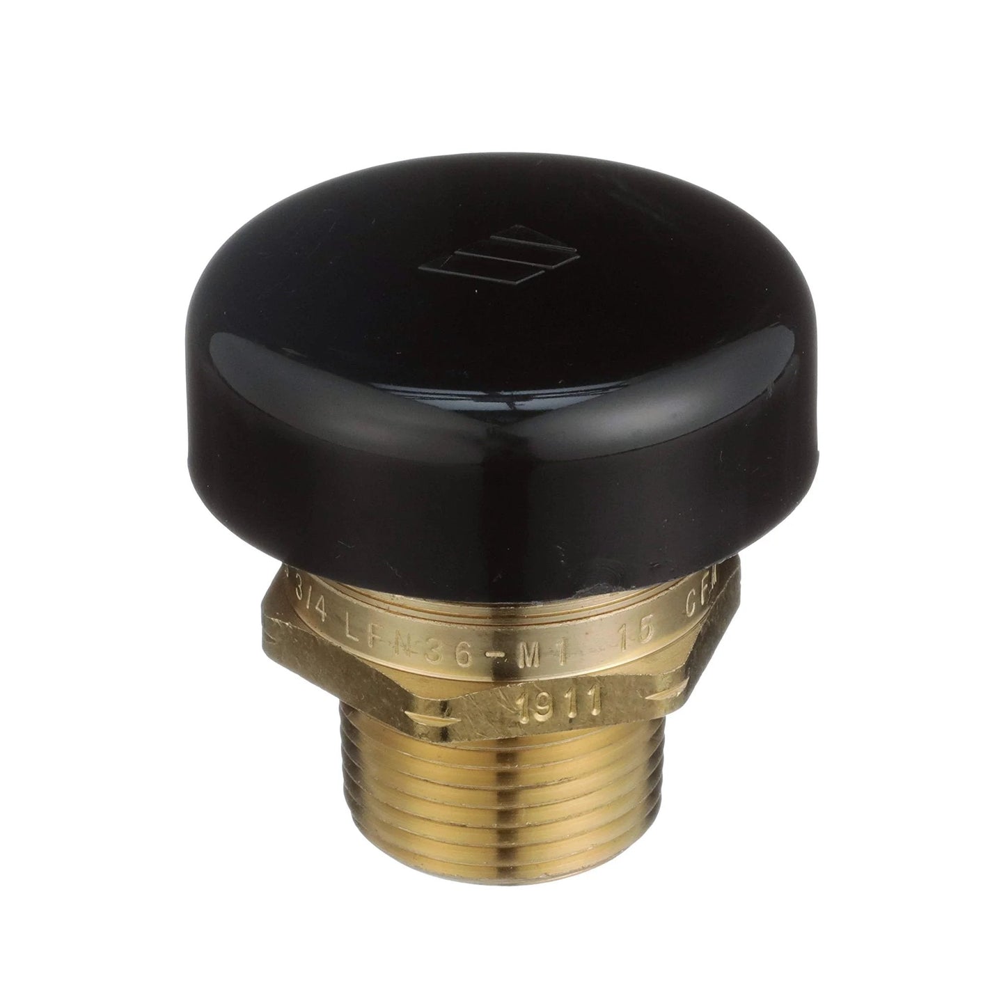Low Profile Vacuum Relief Valve For Water Service And Heater Tanks Three Quarter Inch No Fuss Easy Install Prevents Siphoning And Vacuum Damage In Piping Watts LFN36 M1 with brass body and black cap
