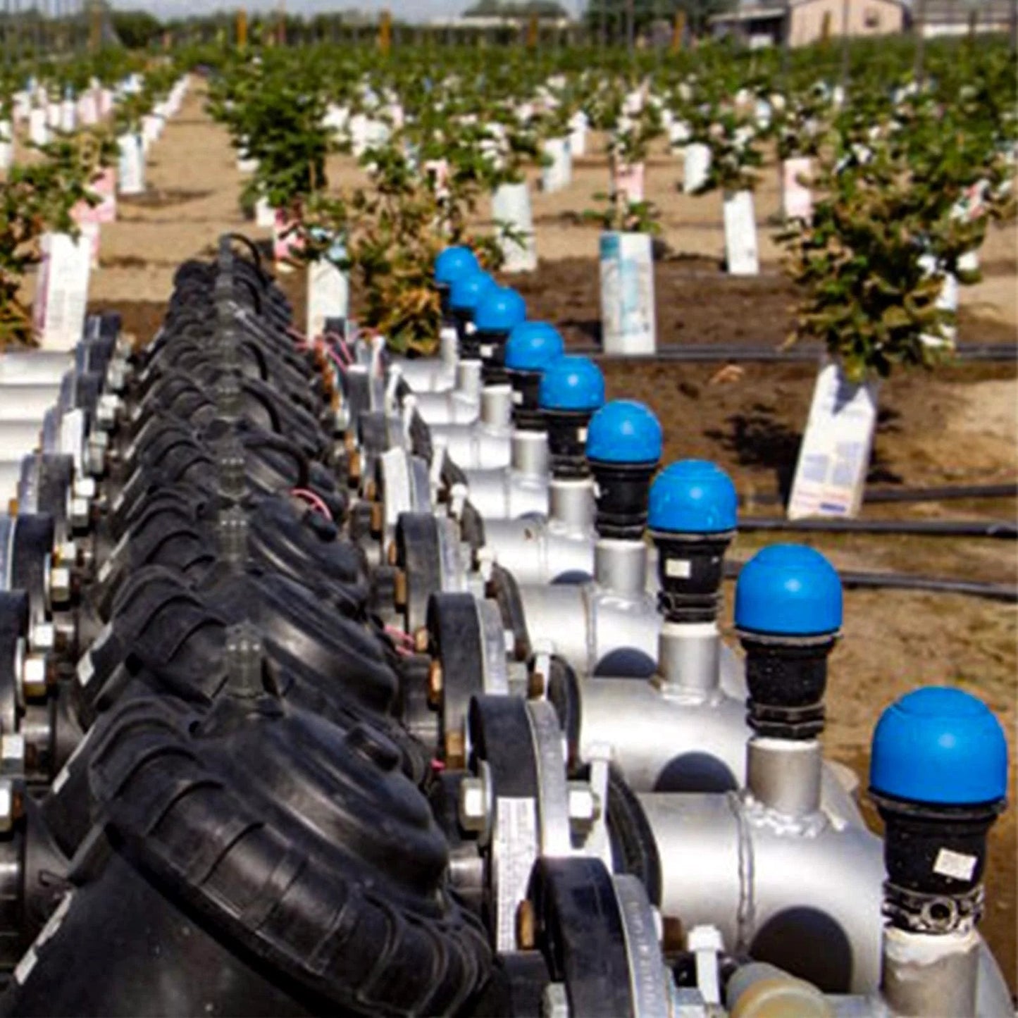 Installed Three Quarter Inch Air Relief Valve for Irrigation Systems, Automatic Air and Vacuum Release, in a drip irrigation setup