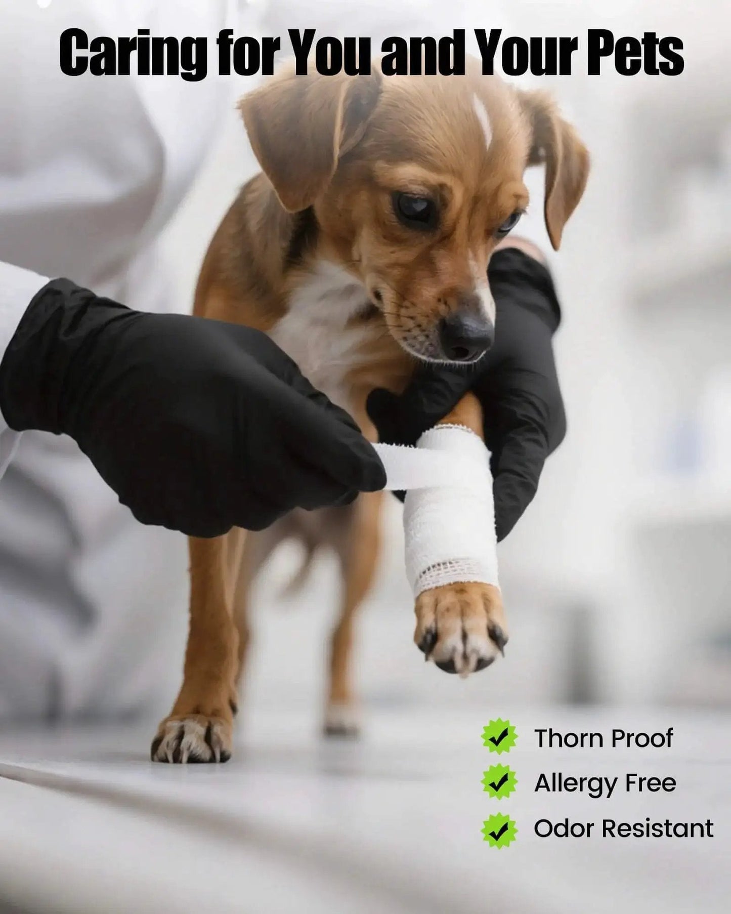 Vet wraps puppy's paw with gauze while wearing Black Nitrile Gloves 6 Mil Heavy Duty Disposable Textured Grip Powder Free