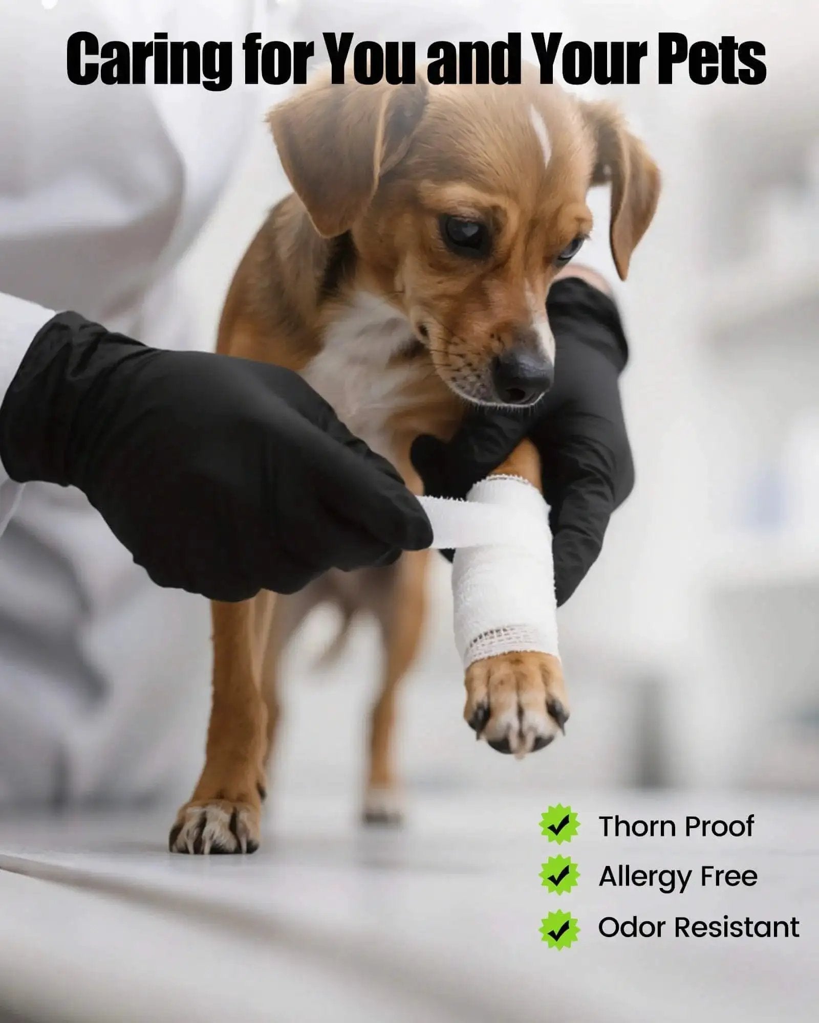 Vet wraps puppy's paw with gauze while wearing Black Nitrile Gloves 6 Mil Heavy Duty Disposable Textured Grip Powder Free