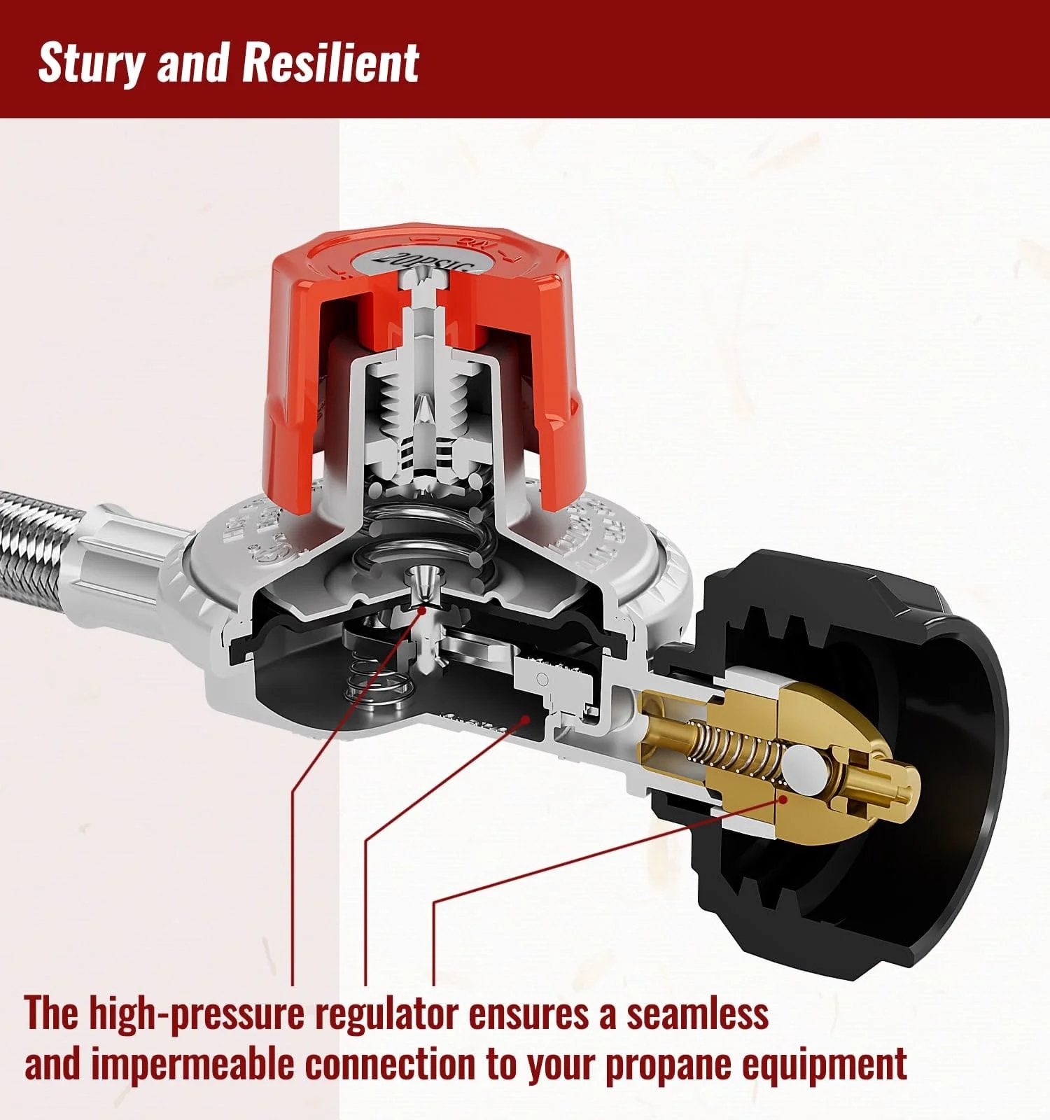 Cutaway view of high pressure 5 foot propane regulator hose with adjustable 0 to 20 PSI braided stainless steel, brass fittings