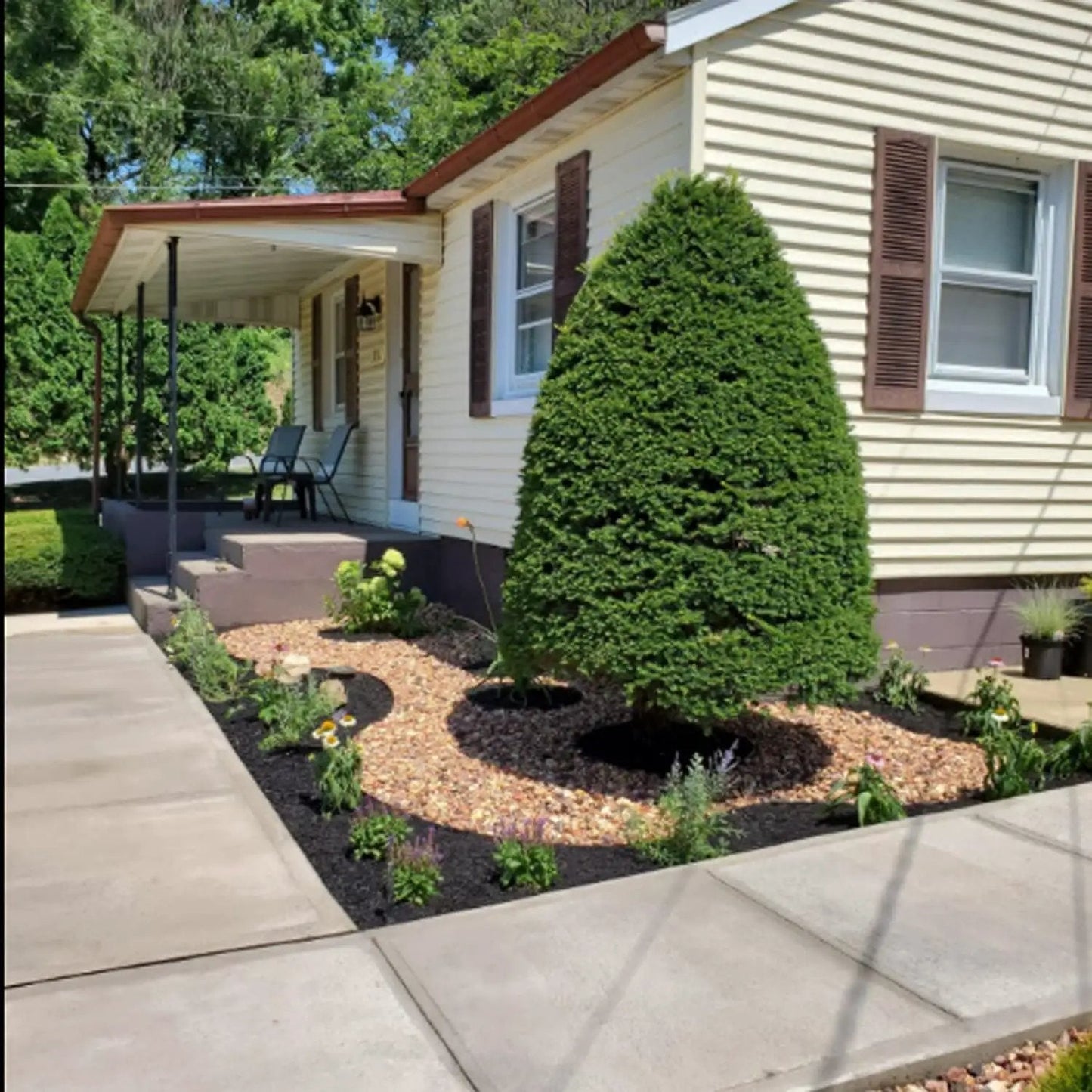 Manicured front yard with gravel beds and neatly trimmed shrubs outside a cream-colored house with brown shutters.