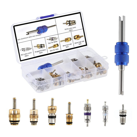 Pro Grade 40 Pc Car Air Conditioning Valve Core Kit for R12 R134a Refrigerant Systems with double head remover tool and case