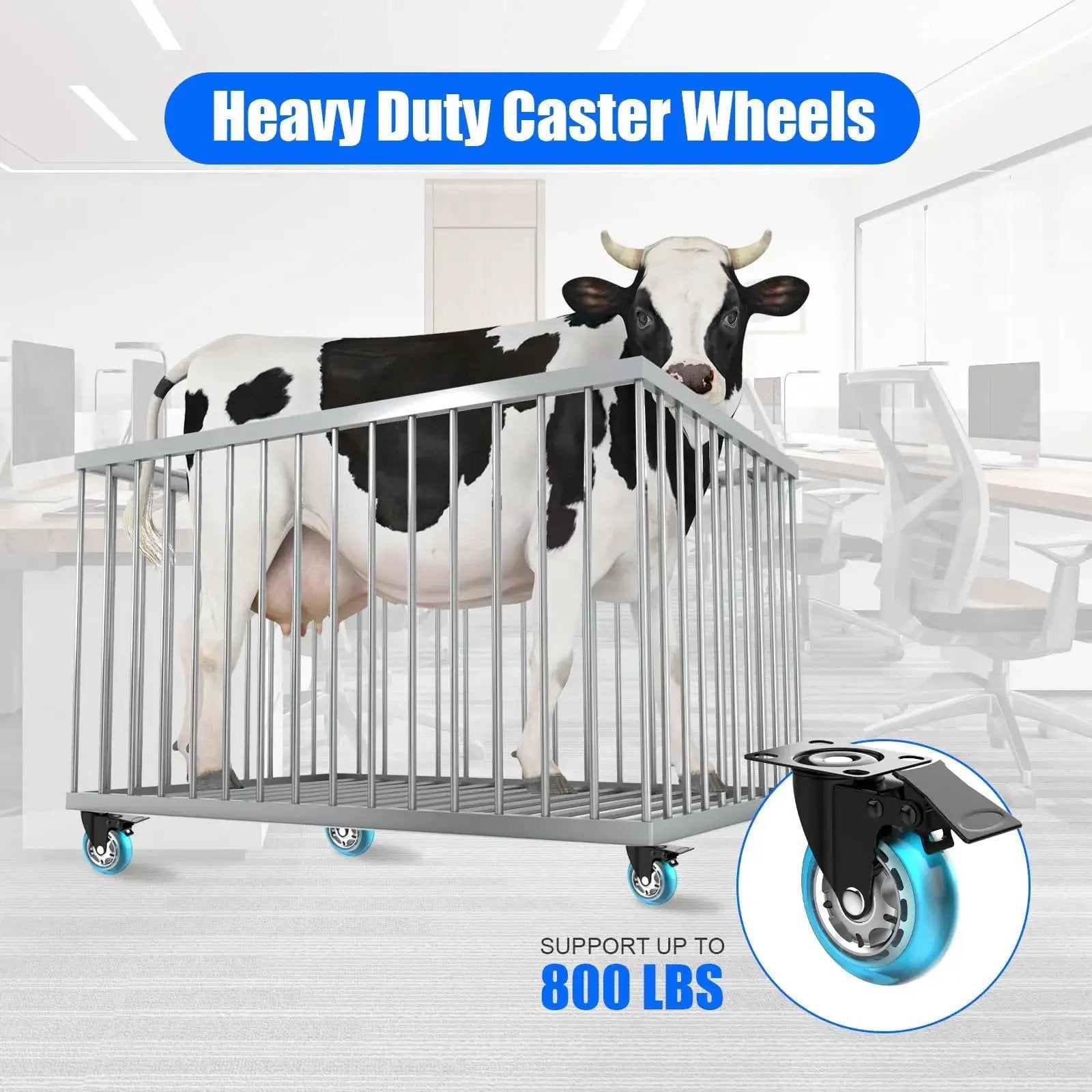 Cow in a cage on 2 Inch Plate Caster Wheels Set Of 4 Heavy Duty with Brakes, illustrating 800 lbs capacity, 360-degree swivel, blue castors