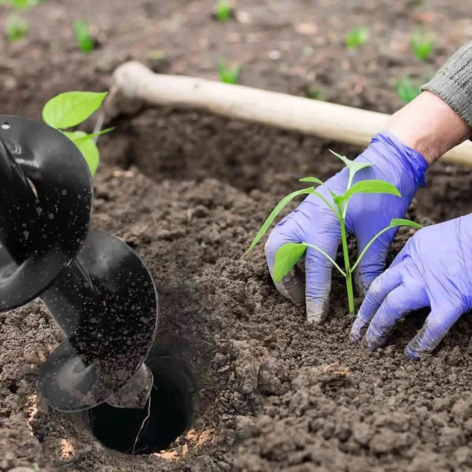 4x12 Inch Auger Drill Bit for Planting and Digging Holes in the Garden used alongside hands planting a seedling.