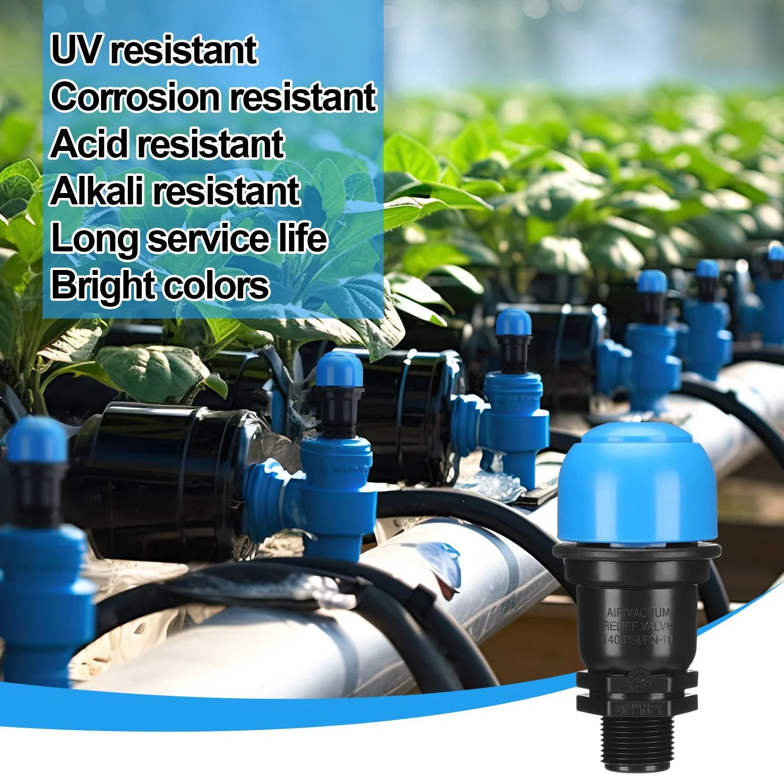 2 Pack Three Quarter Inch Air Release Valve For Drip Irrigation Systems with blue valves installed in agricultural setup