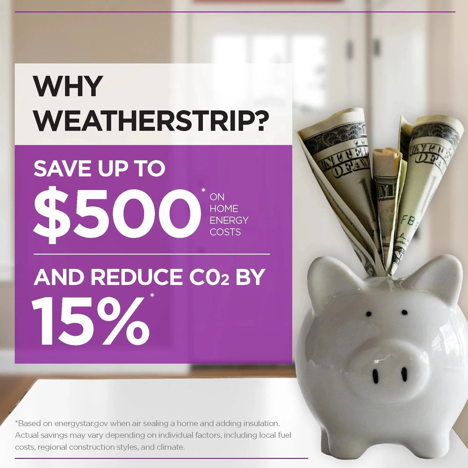 Piggy bank with dollar bills illustrating savings on home energy costs and CO2 reduction with weather stripping.