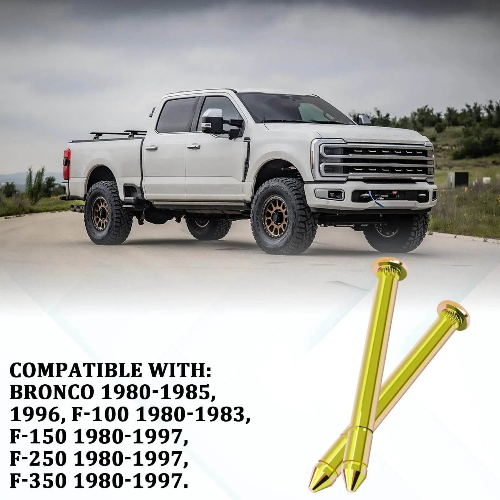 Door Hinge Pin And Bushing Repair Kit For Ford Bronco And F Series F 100 F 150 F 250 F 350 Upgrade Replacement in front of truck