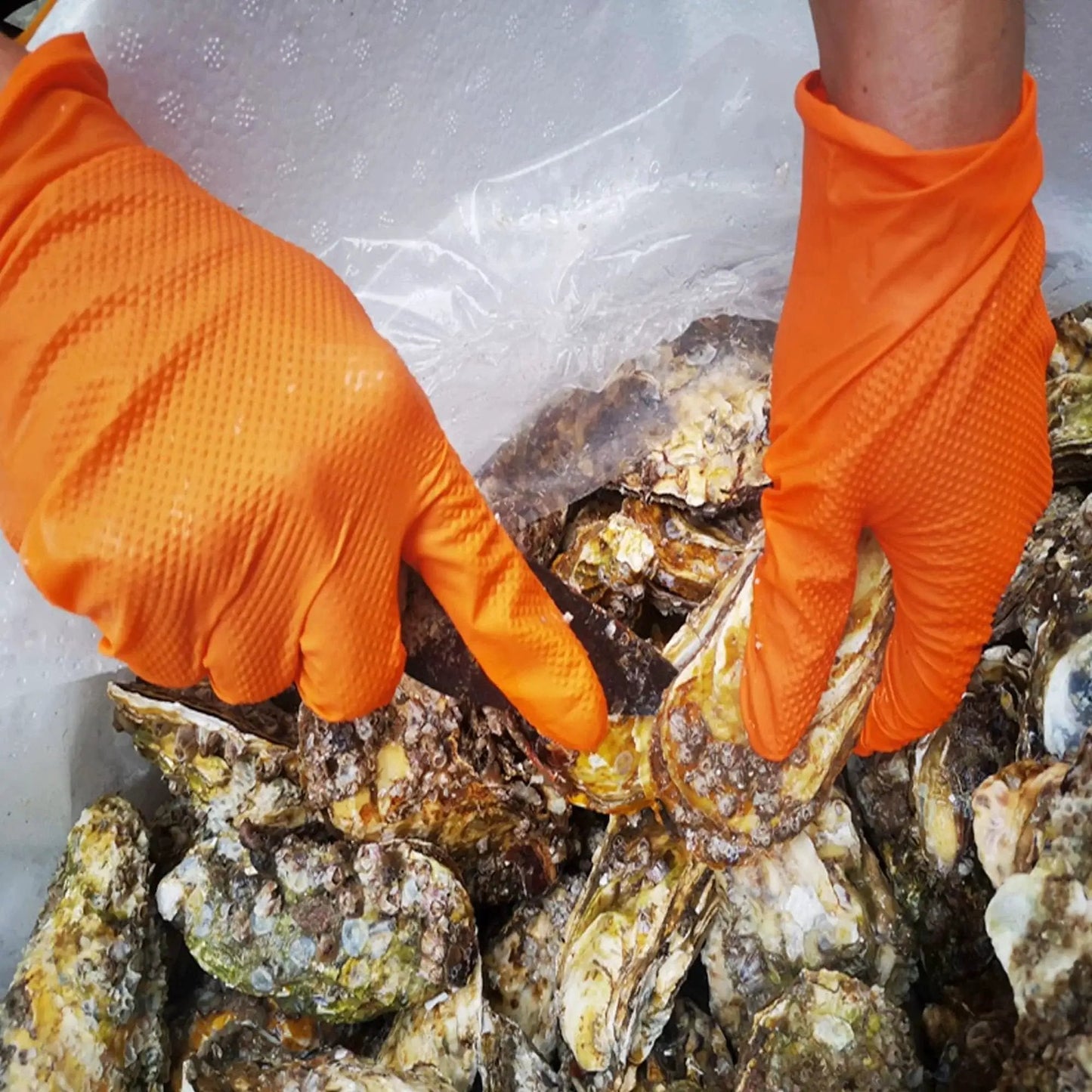 Hands wearing Heavy Duty Orange Nitrile Gloves 8 Mil Diamond Texture Grip XL handling oysters