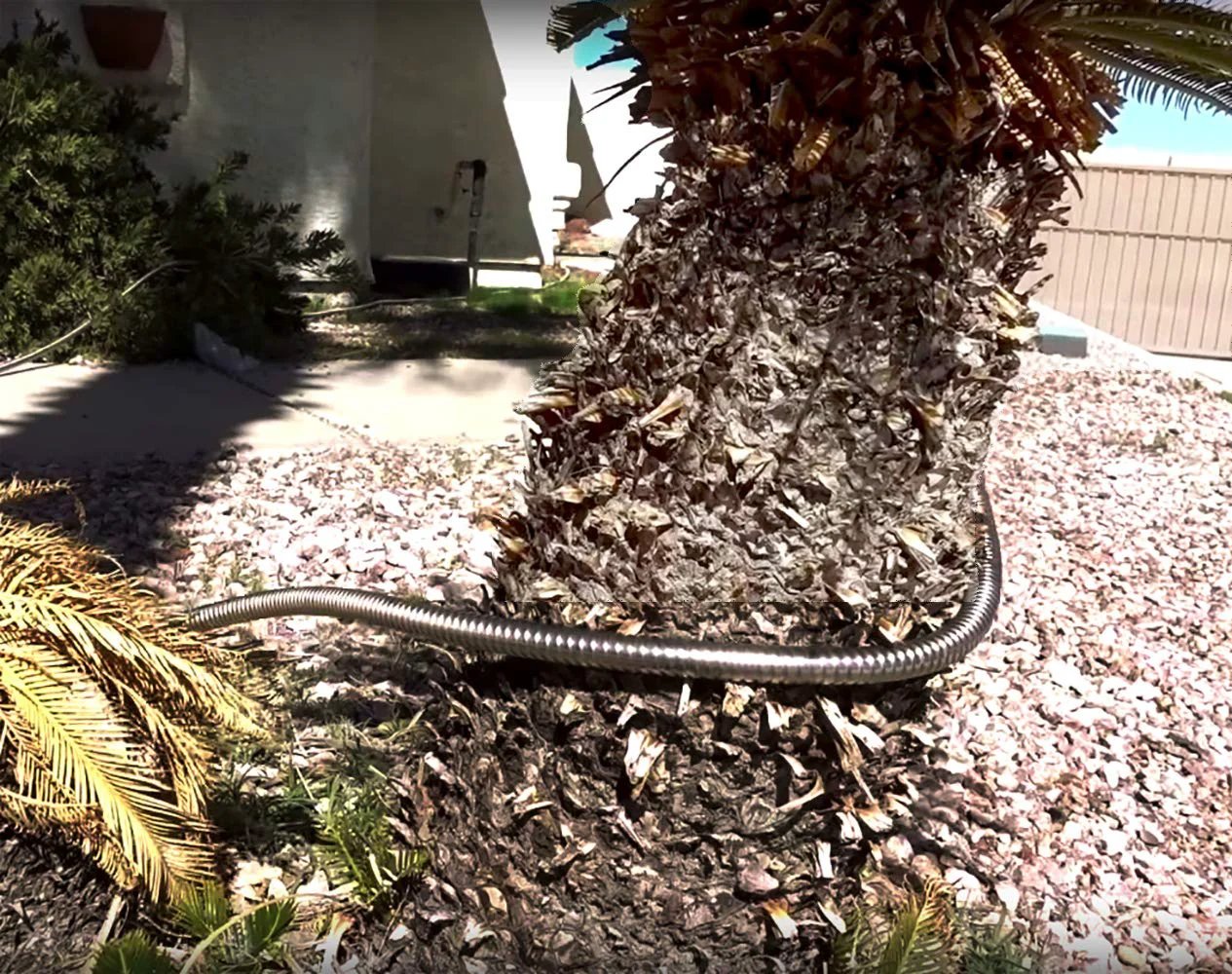 Heavy Duty 304 Stainless Steel Garden Hose Connector, Beaulife 5 Ft Short Water Hose Extension installed around tree