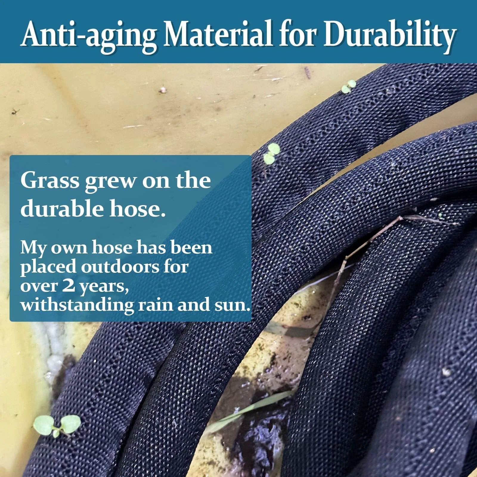 Close-up of Ultra Flexible TPE Garden Hose 50 Feet With Solid Brass Fittings, showing durability with grass growing on the surface.