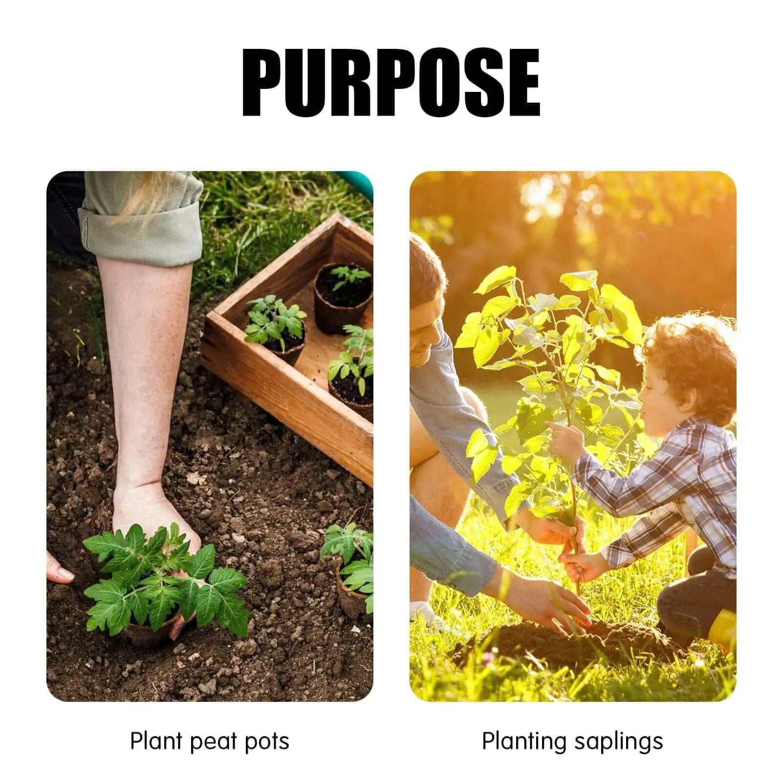 Left: Planting peat pots in soil; Right: Adult and child planting saplings in garden.