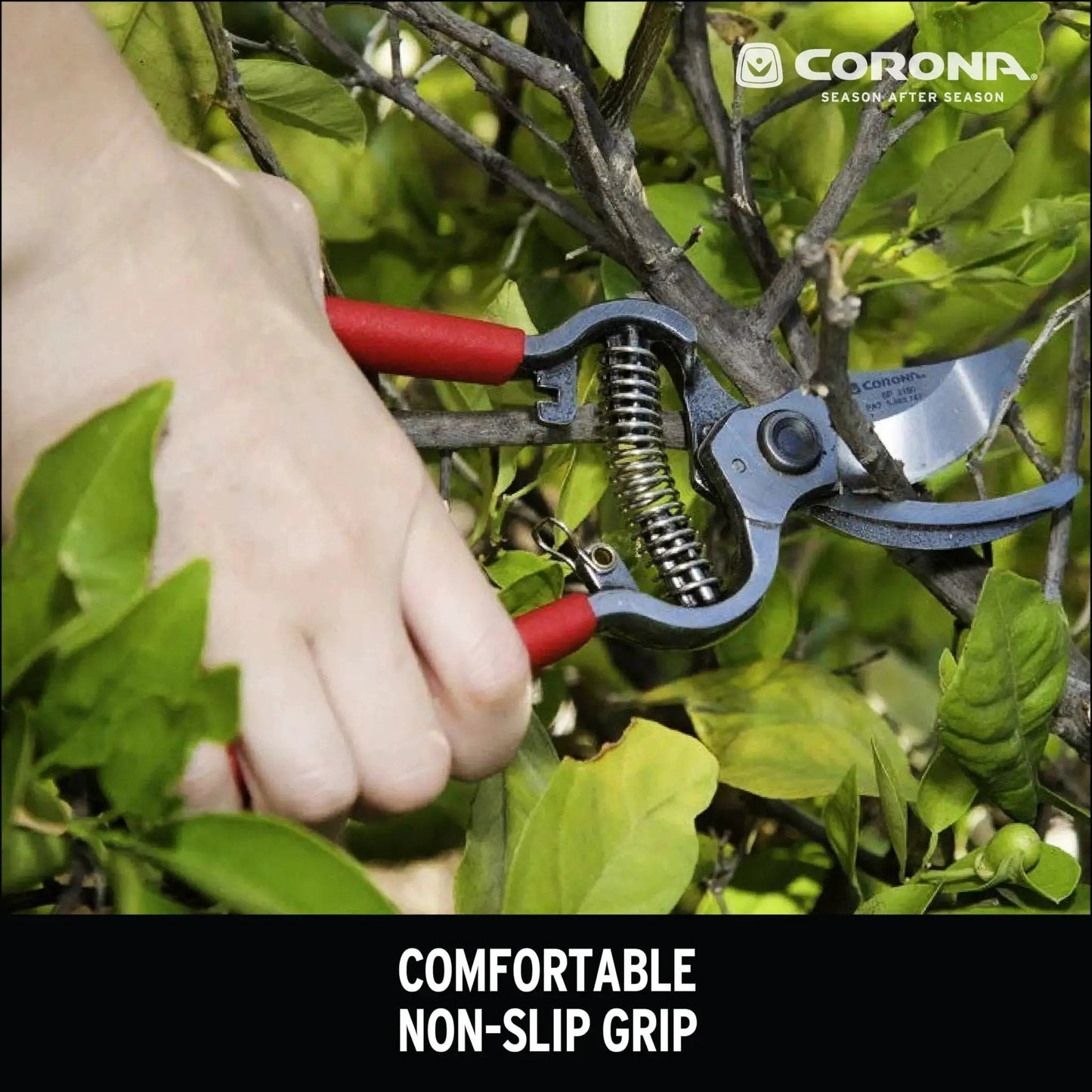 Forged Classic Bypass Pruner With 1 Inch Cutting Capacity For Live Branches And Green Wood Sharp Forged Steel Blade Delivers Smooth Scissor Like Cuts Heavy Duty Construction Red in use on a plant branch showing ergonomic grip.