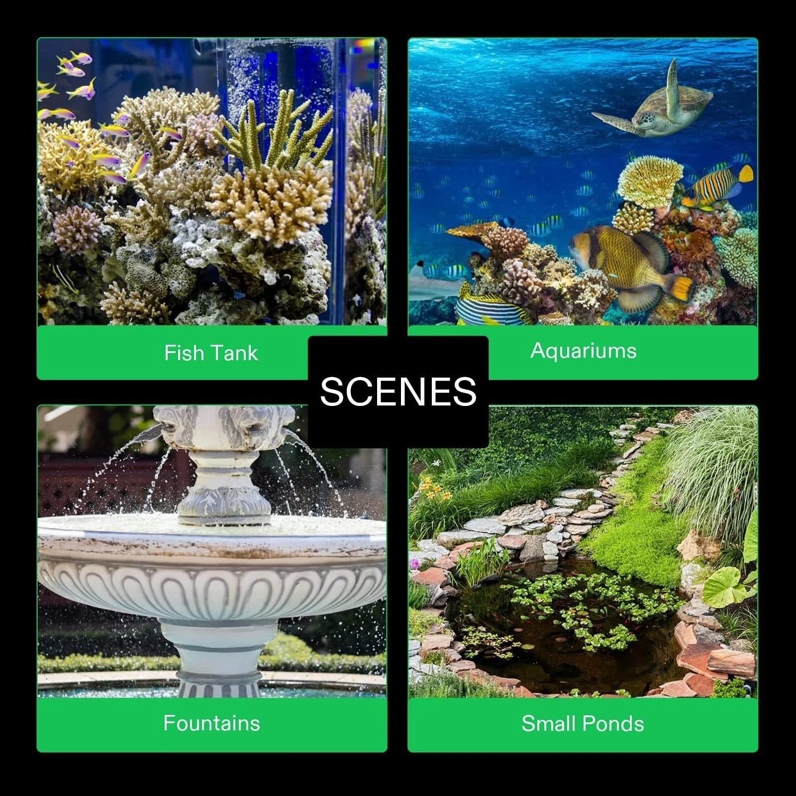 Collage of scenes including fish tank, aquarium, fountain, and small pond, demonstrating diverse aquatic environments