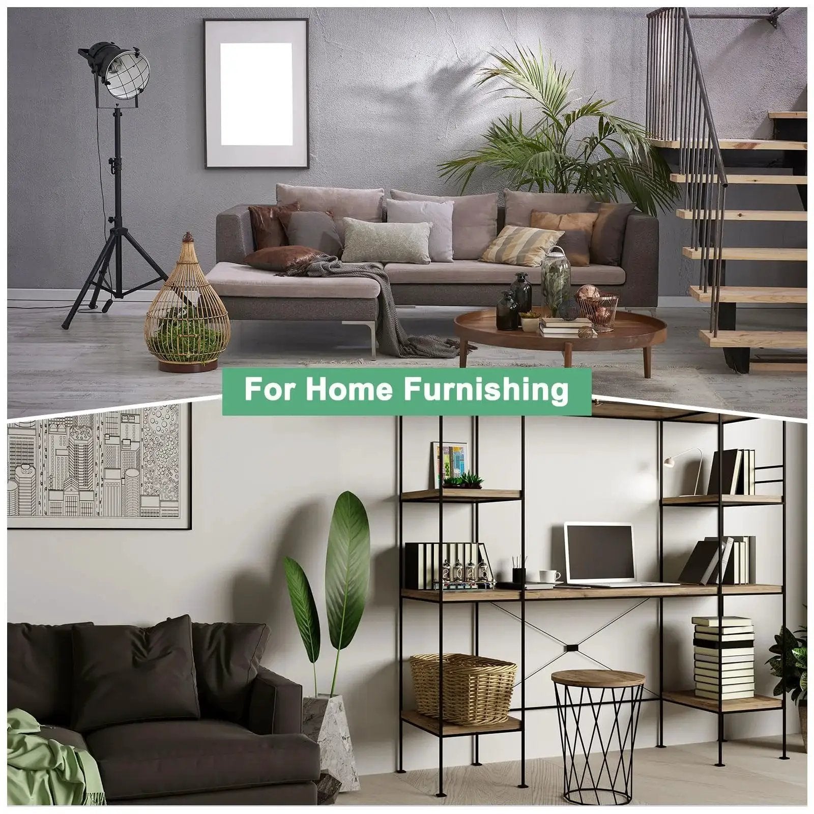 Living room with modern furniture and shelving, featuring plants and decor accents for home furnishing