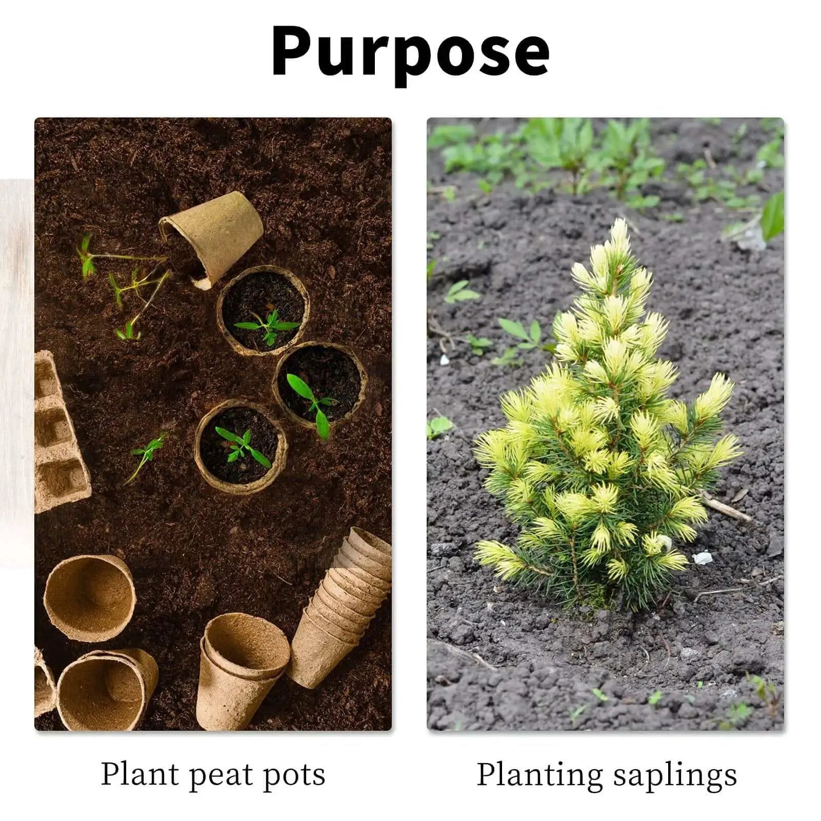 Image showing plant peat pots and planting saplings in soil, illustrating gardening purposes.