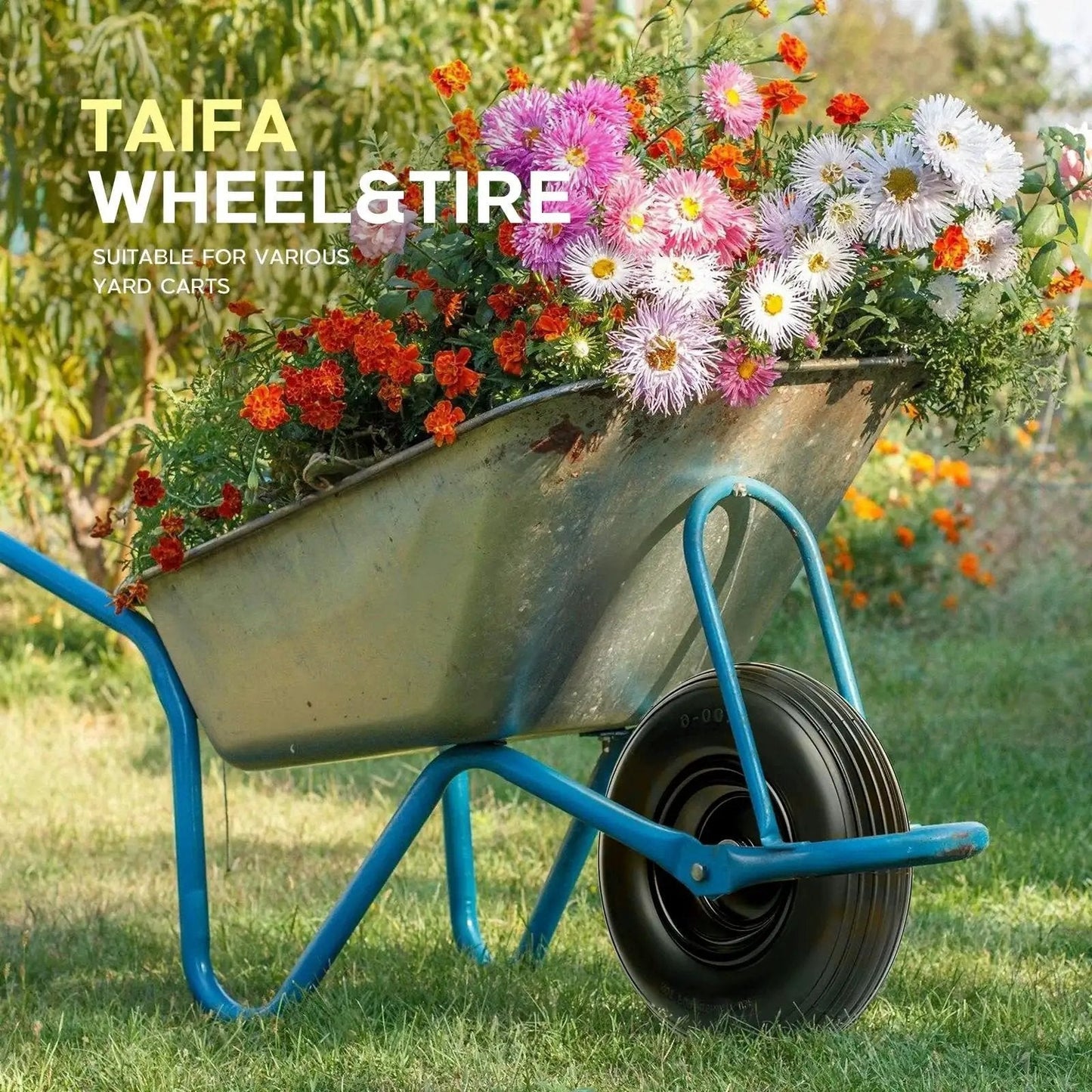 13 Inch Solid Flat Free Replacement Tire And Wheel 4.00-6 With Five Eighth Inch Axle Bore installed on a blue wheelbarrow in a garden.