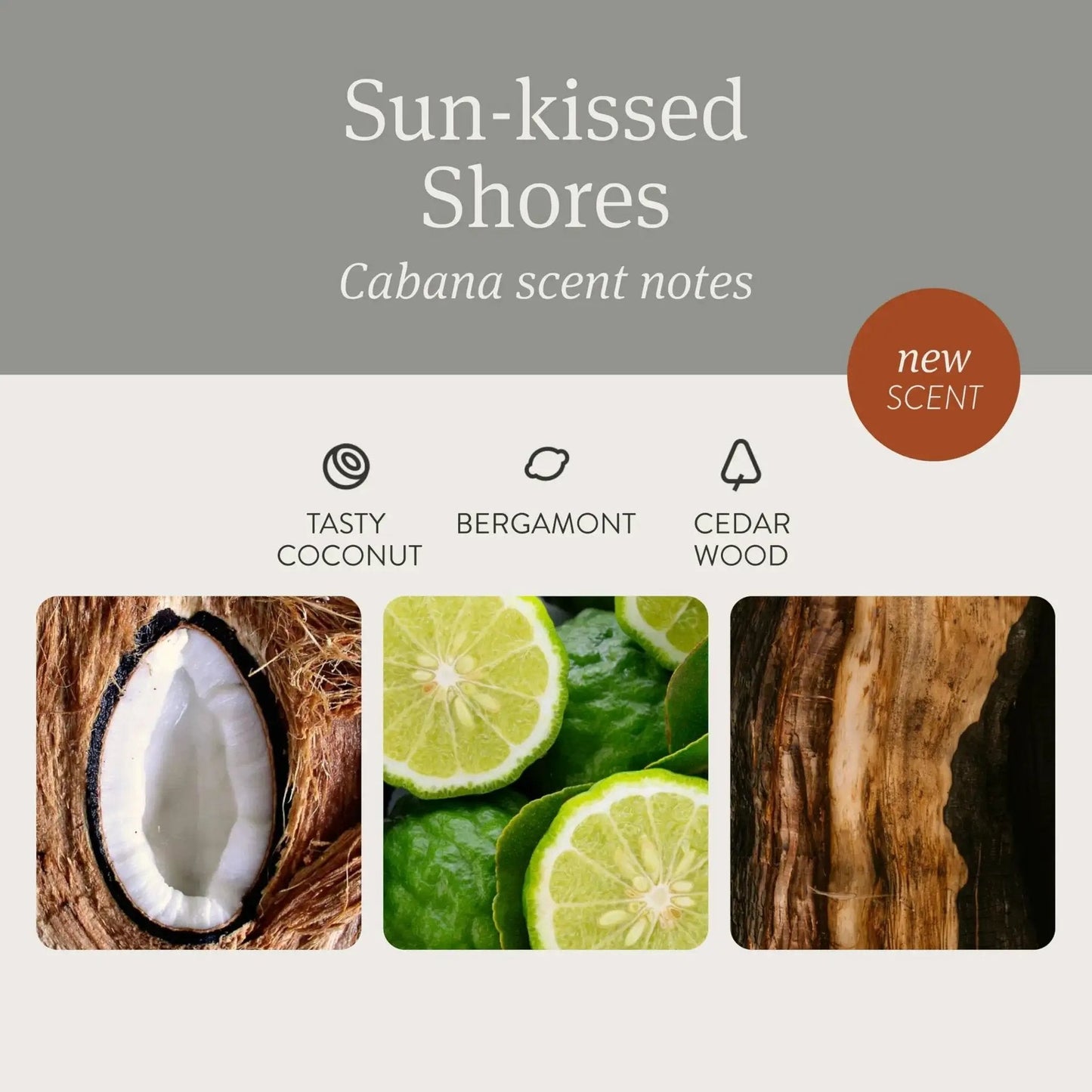 Stone Car Air Freshener With Metal Clip And Cabana Scent Starter Kit scent notes of coconut, bergamot, and cedar wood.