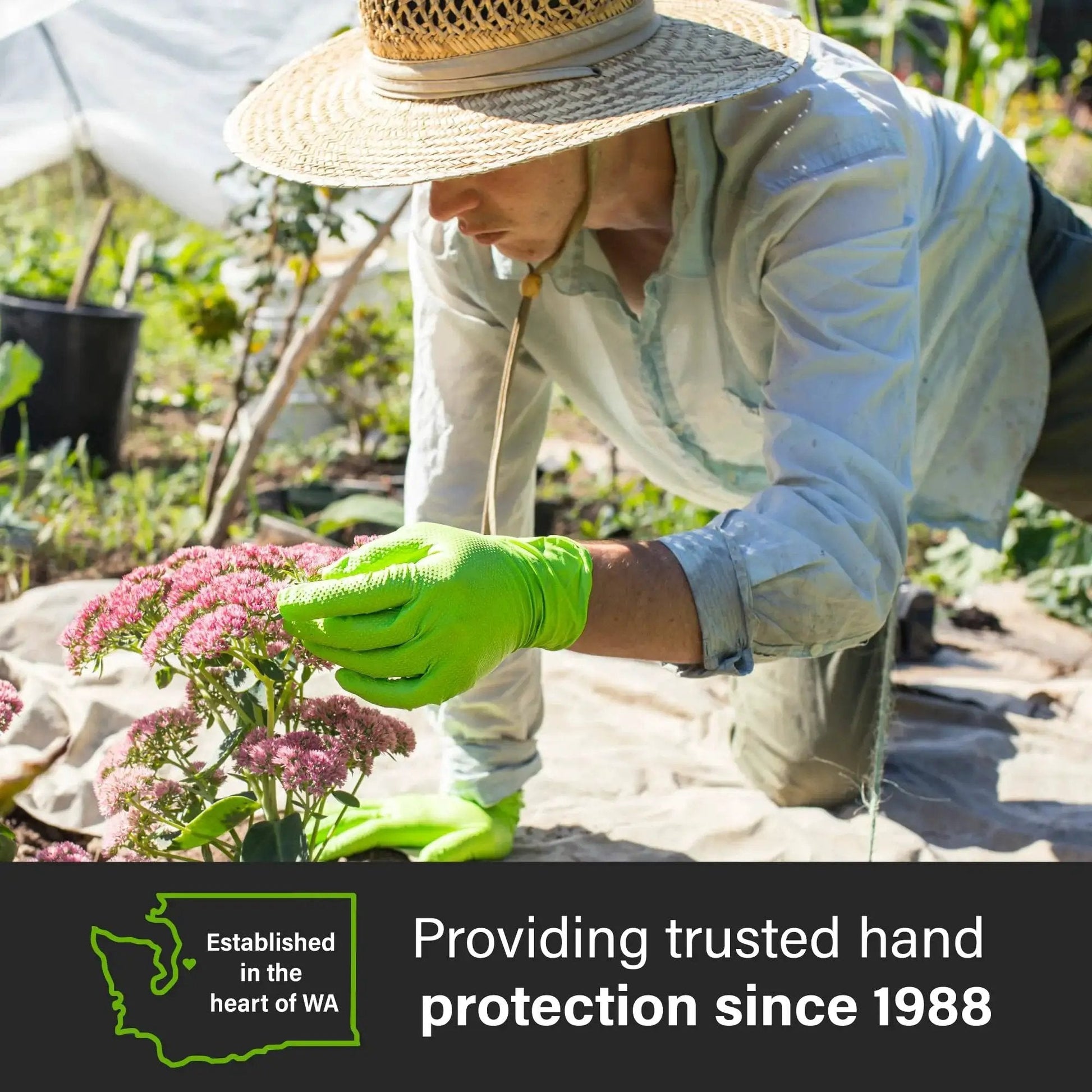 Gardener wearing Green Nitrile Mechanic Gloves 8 Mil Heavy Duty Raised Diamond Grip Latex Free while tending flowers.