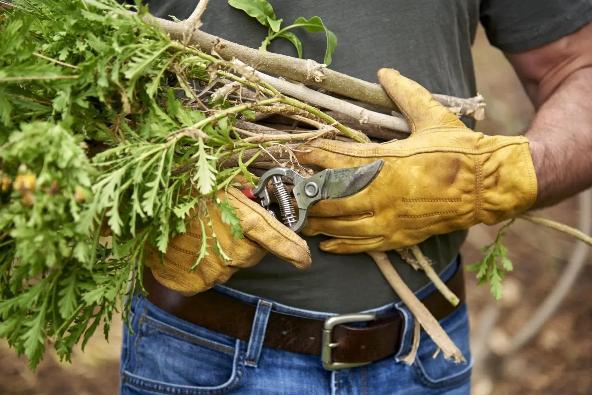 Person using Forged Classic Bypass Pruner With 1 Inch Cutting Capacity For Live Branches And Green Wood Sharp Forged Steel Blade Delivers Smooth Scissor Like Cuts Heavy Duty Construction Red in garden