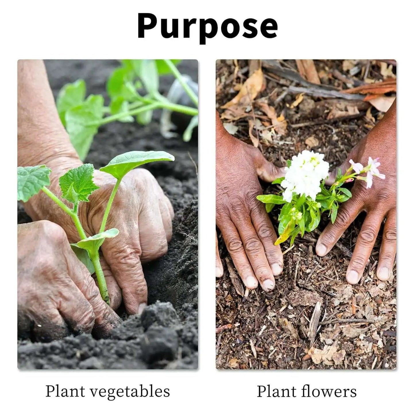 Hands planting vegetables and flowers in soil, illustrating the purpose of the Extended Length Garden Auger Drill Bit 1.6 by 16.5 Inch For Planting Bulbs And Flowers Post Hole Digger For Three Eighths Inch Hex Drill Heavy Duty Spiral Bit For Faster Planting And Less Backbreaking Work TCBWFY.