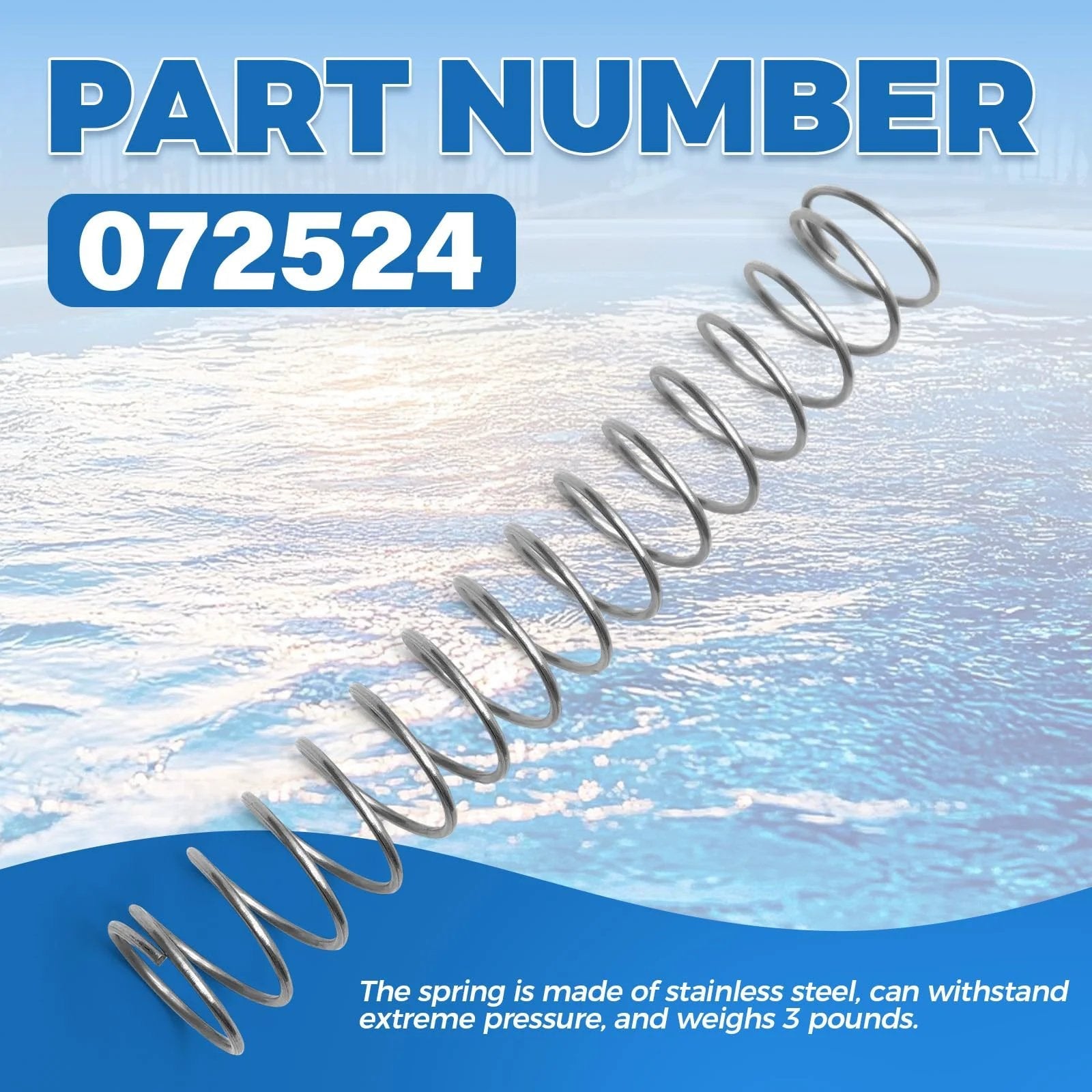 Spring Check Valve 072524 for Pentair Ortega Pool System, stainless steel, against pool backdrop