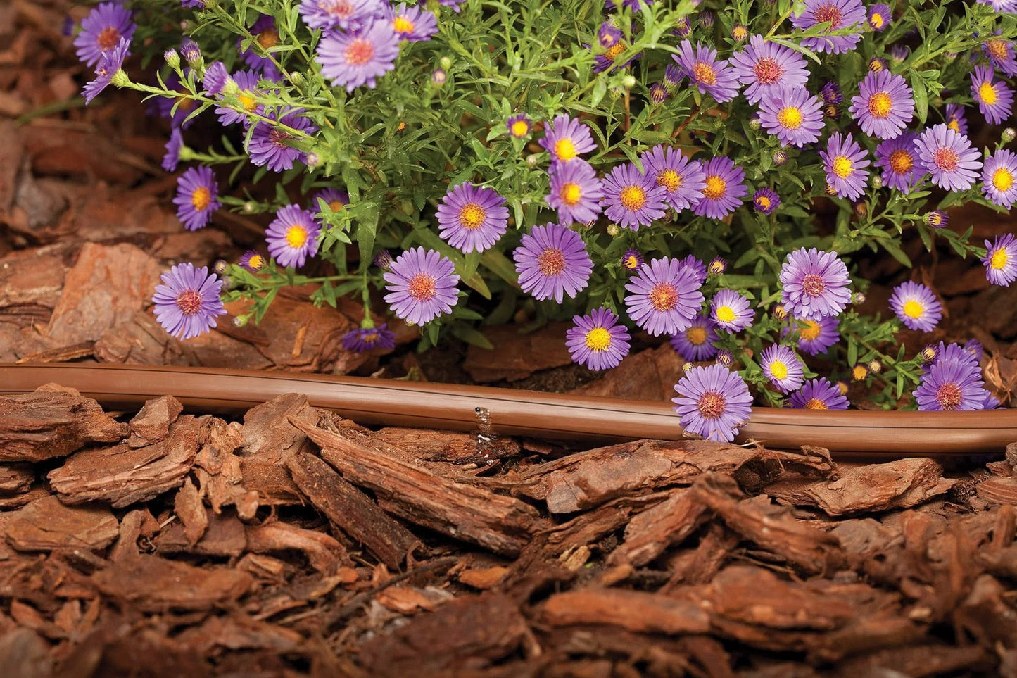 Drip Irrigation System With Pressure Compensating Emitter Tubing Kit Half Inch Diameter 0.9 GPH Emitters Every 18 Inches in garden bed
