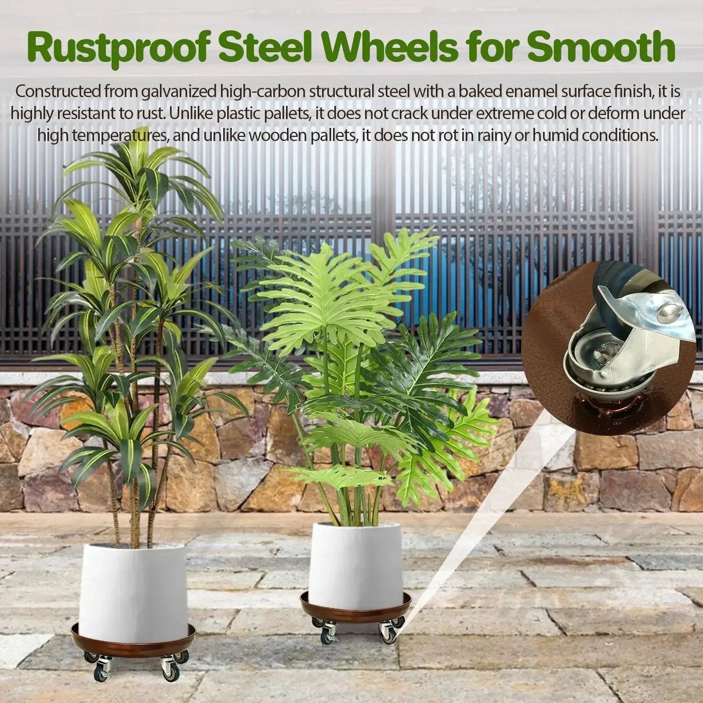 Two potted plants on Heavy Duty Rolling Plant Caddy With Wheels 12 Inch Plant Stand Supports Up To 320 Lbs Durable Metal Construction With Locking Casters Rust Resistant Finish.