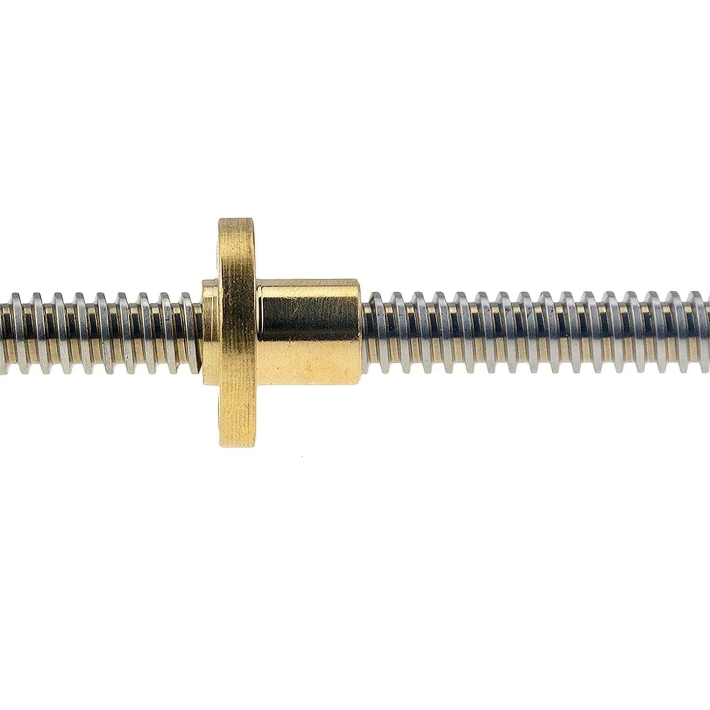 16 Piece 150mm Linear Motion Set lead screw close-up, brass nut for 3D printers, CNC machines, automation systems