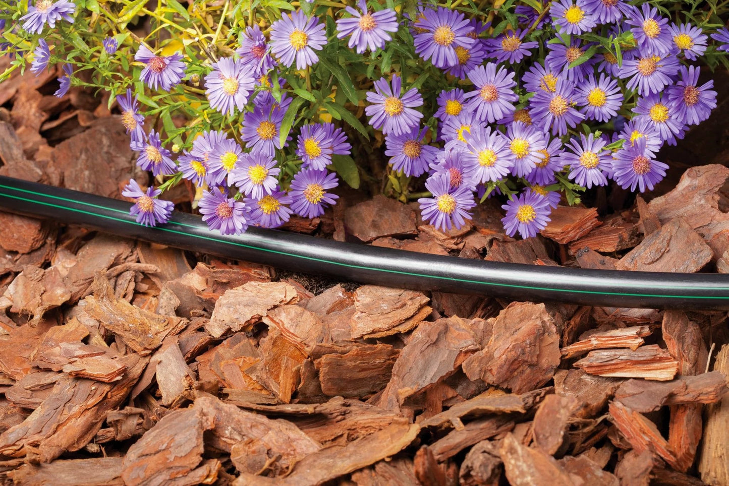 Heavy Duty Drip Irrigation Distribution Tubing 0.634 Inch Outer Diameter Half Inch 100 Foot Black Roll in garden with flowers visible